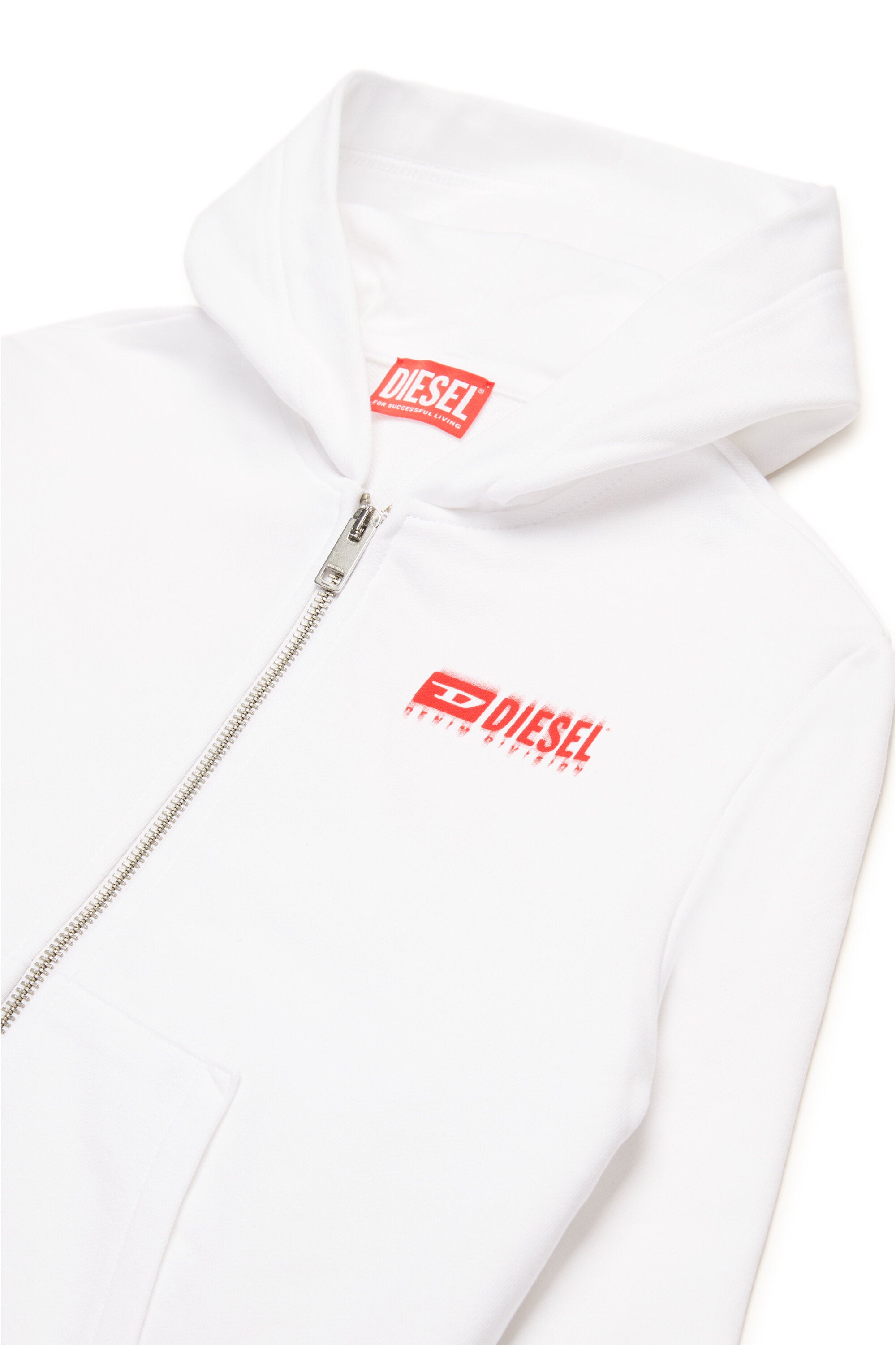 Hooded sweatshirt with degradé logo