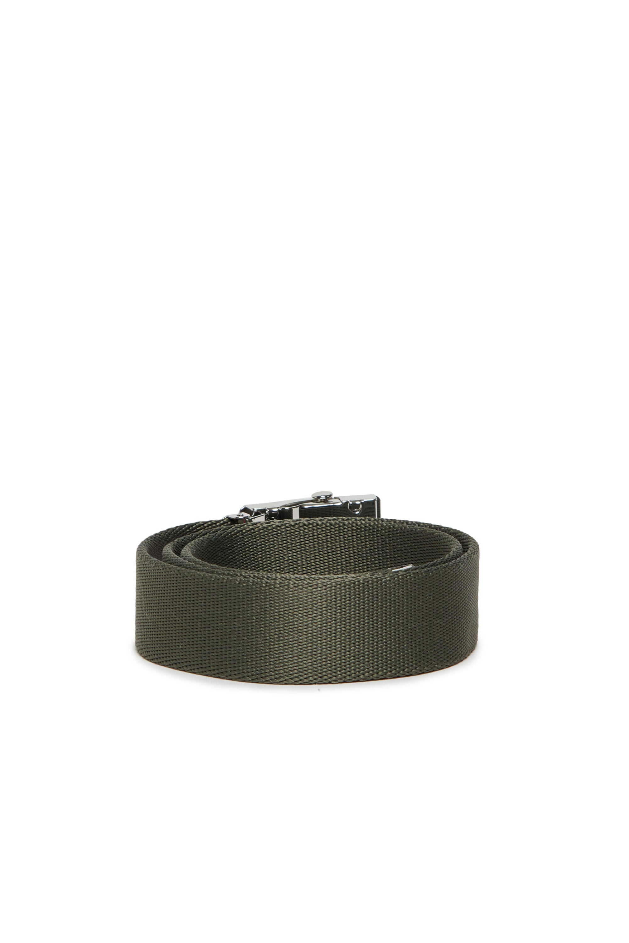 Oval D branded canvas belt