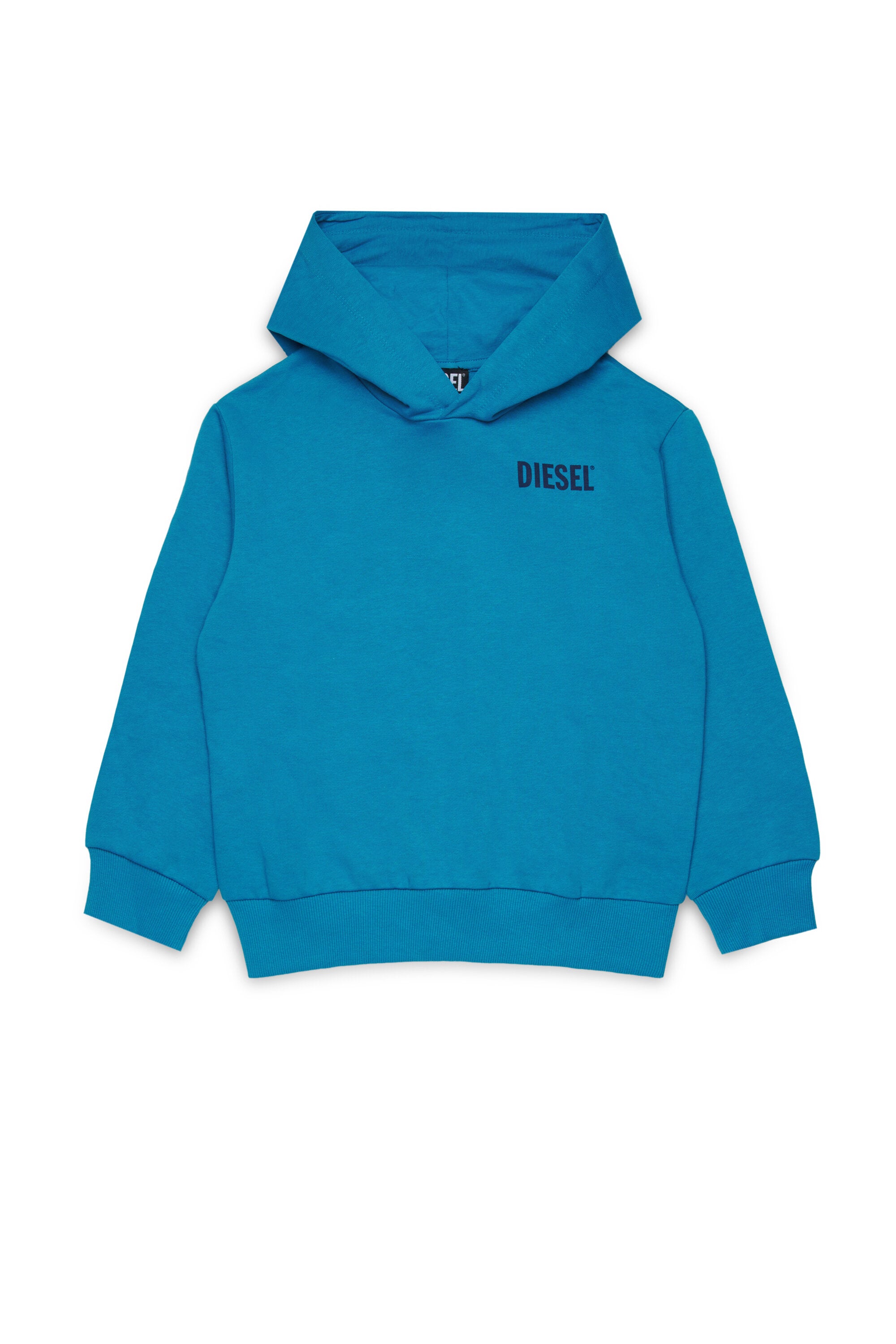 Dieselロゴ入りフーディー