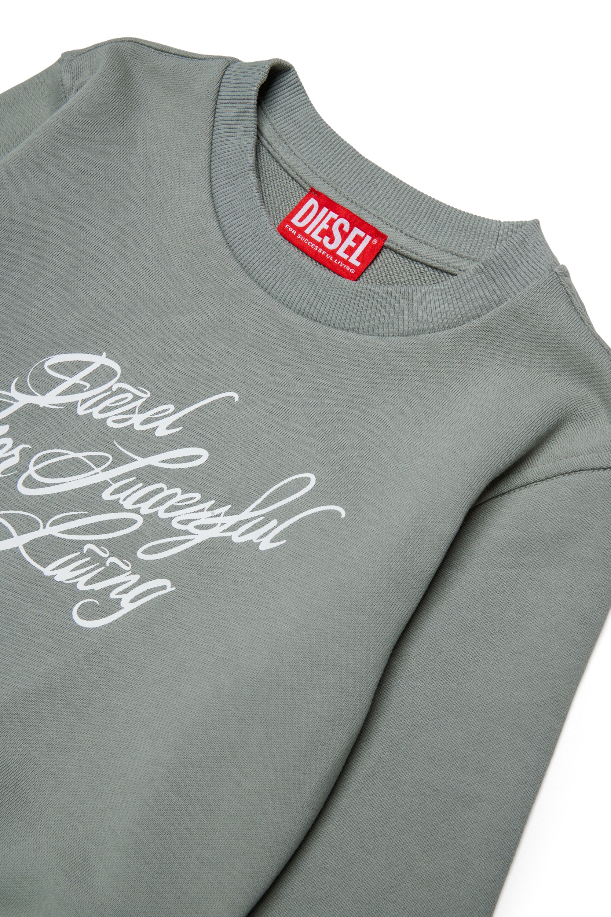 Crewneck sweatshirt with logo