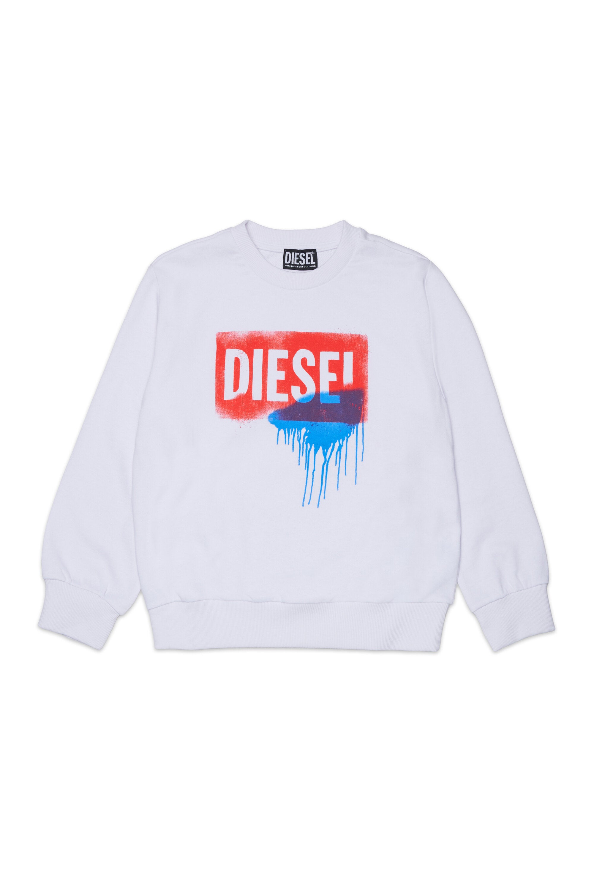 Crewneck sweatshirt with logo