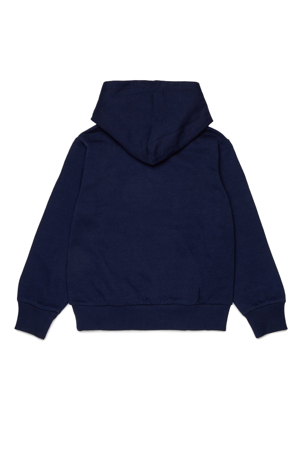 Hooded sweatshirt with logo