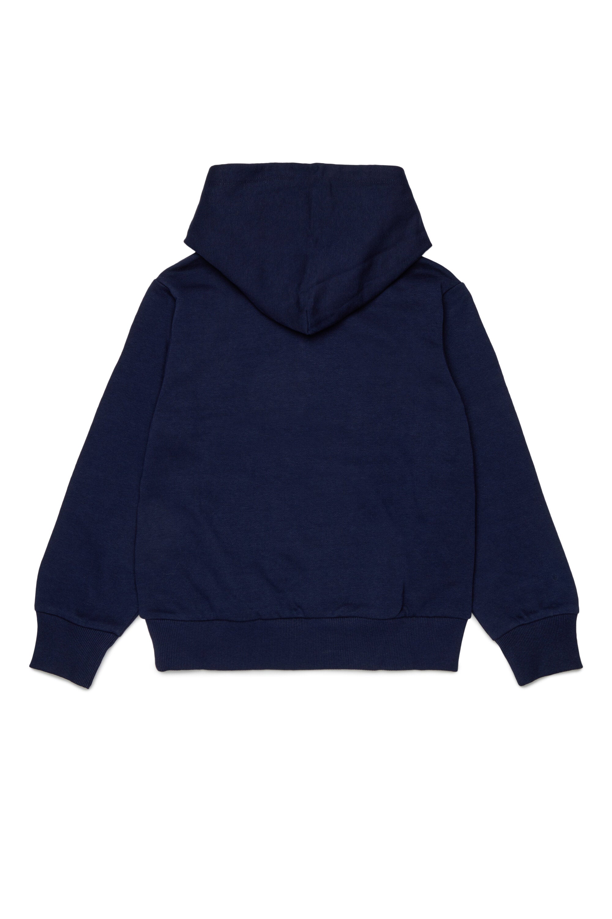 Hooded sweatshirt with logo