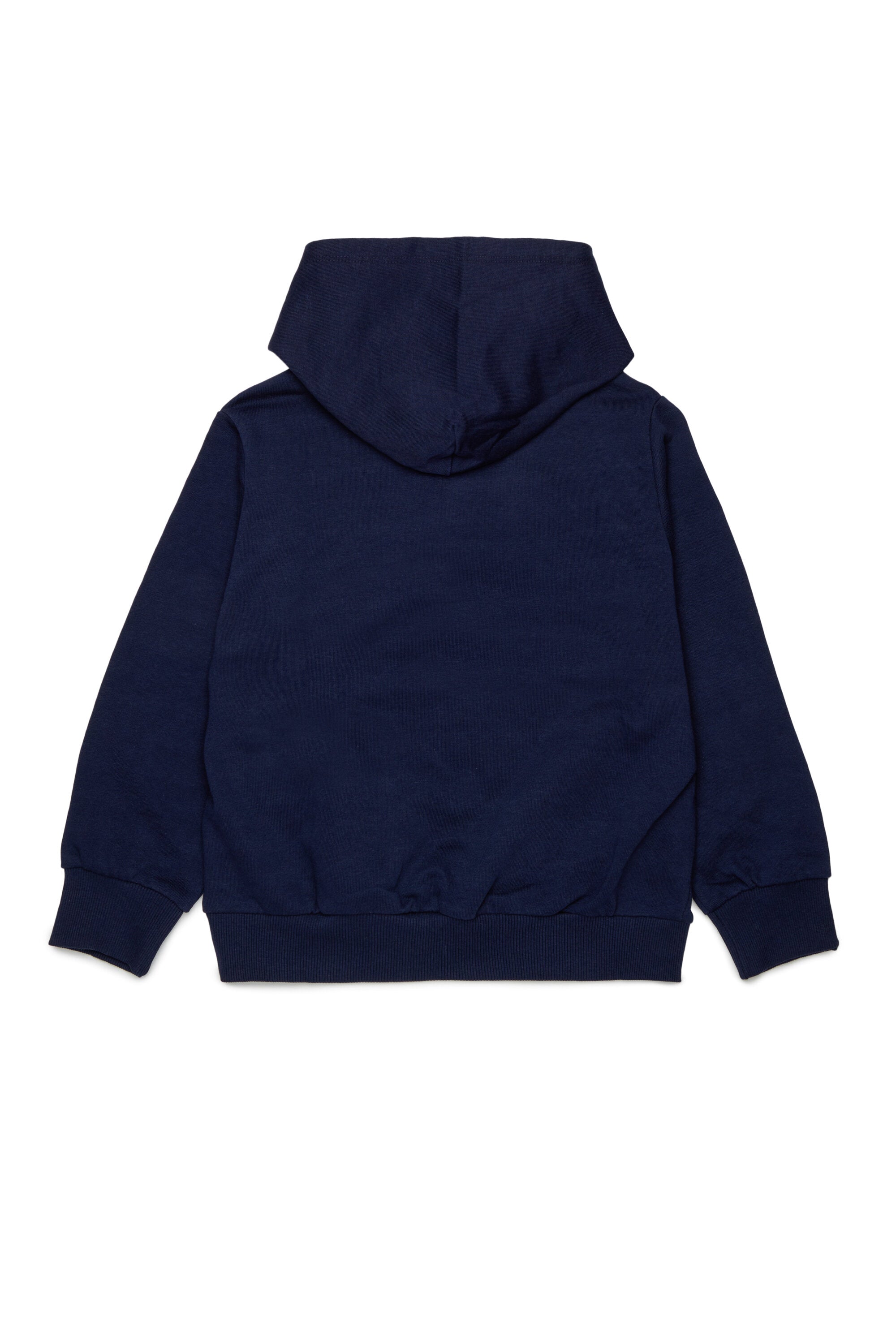 Hooded sweatshirt with logo