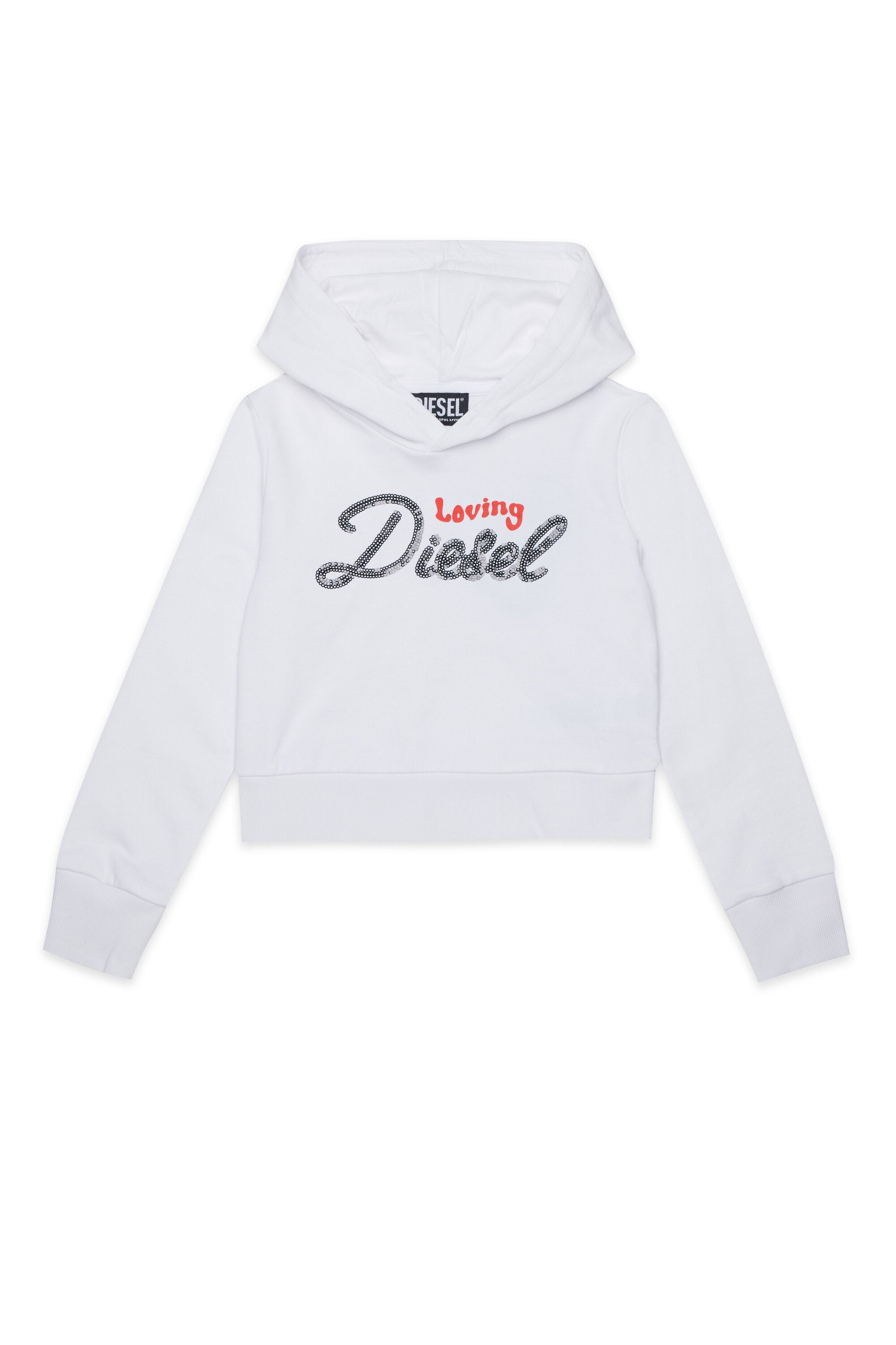 Hooded sweatshirt with logo