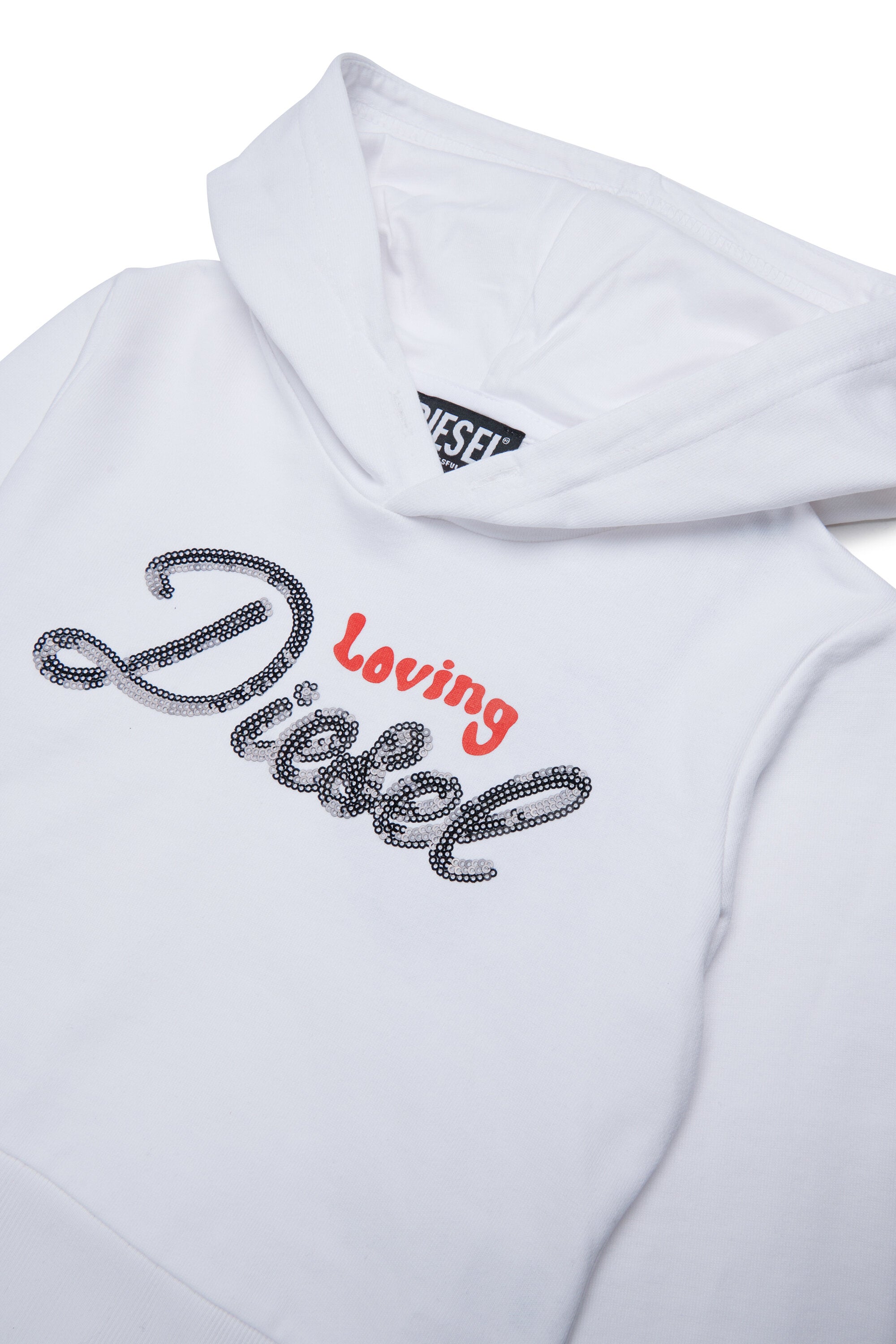 Hooded sweatshirt with logo