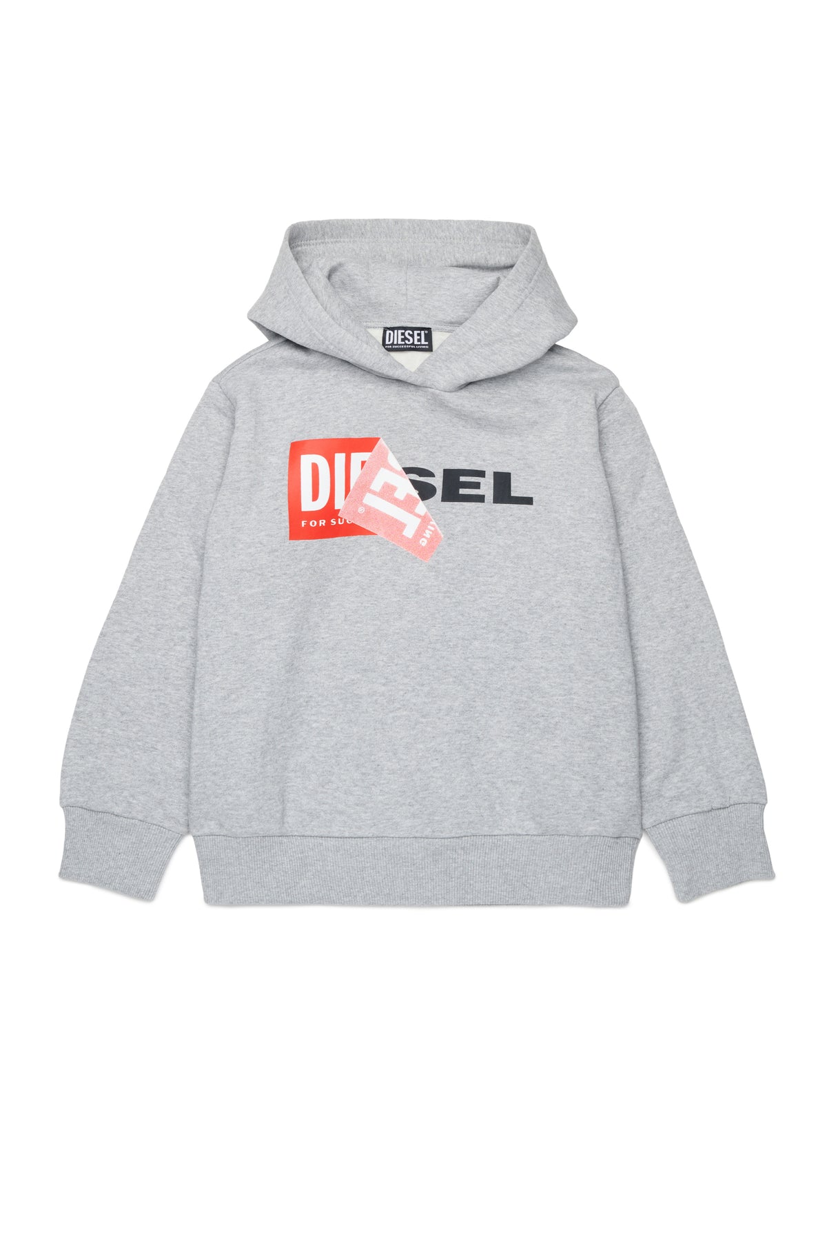 Hooded sweatshirt with logo