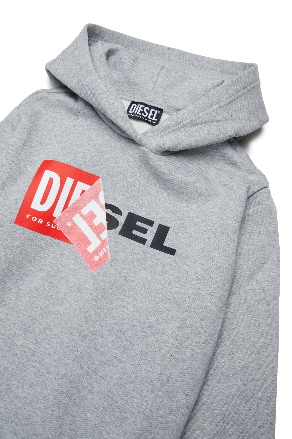 Hooded sweatshirt with logo