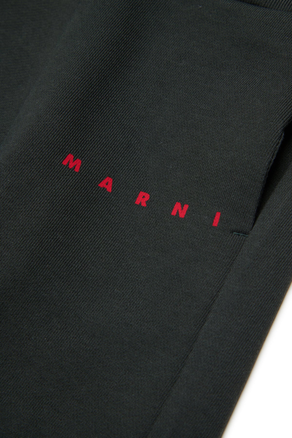 Fleece jogger pants with logo