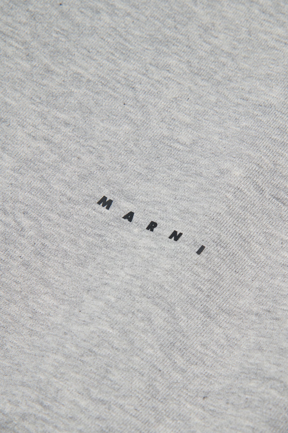 Crewneck sweatshirt with logo