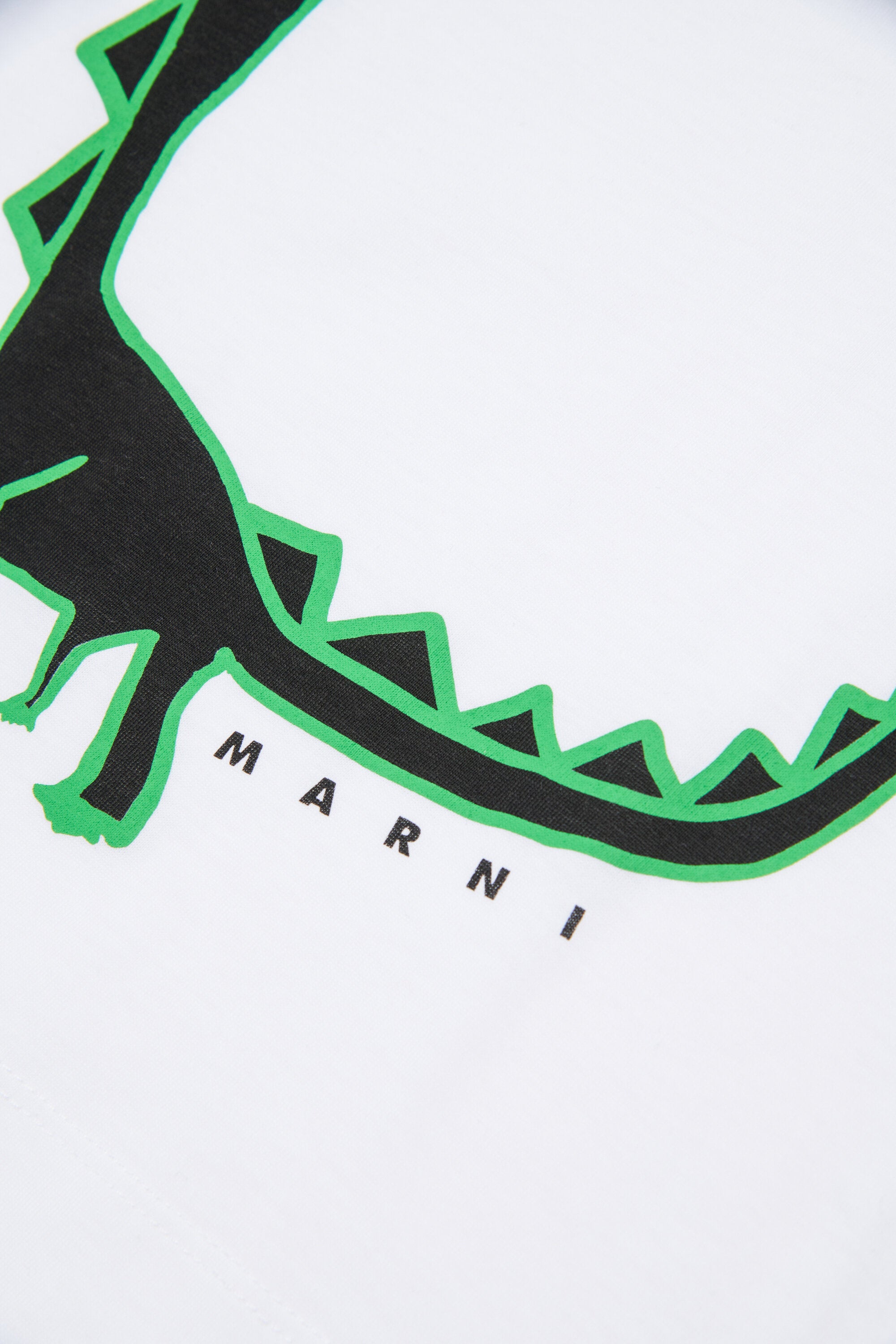恐竜プリントTシャツ