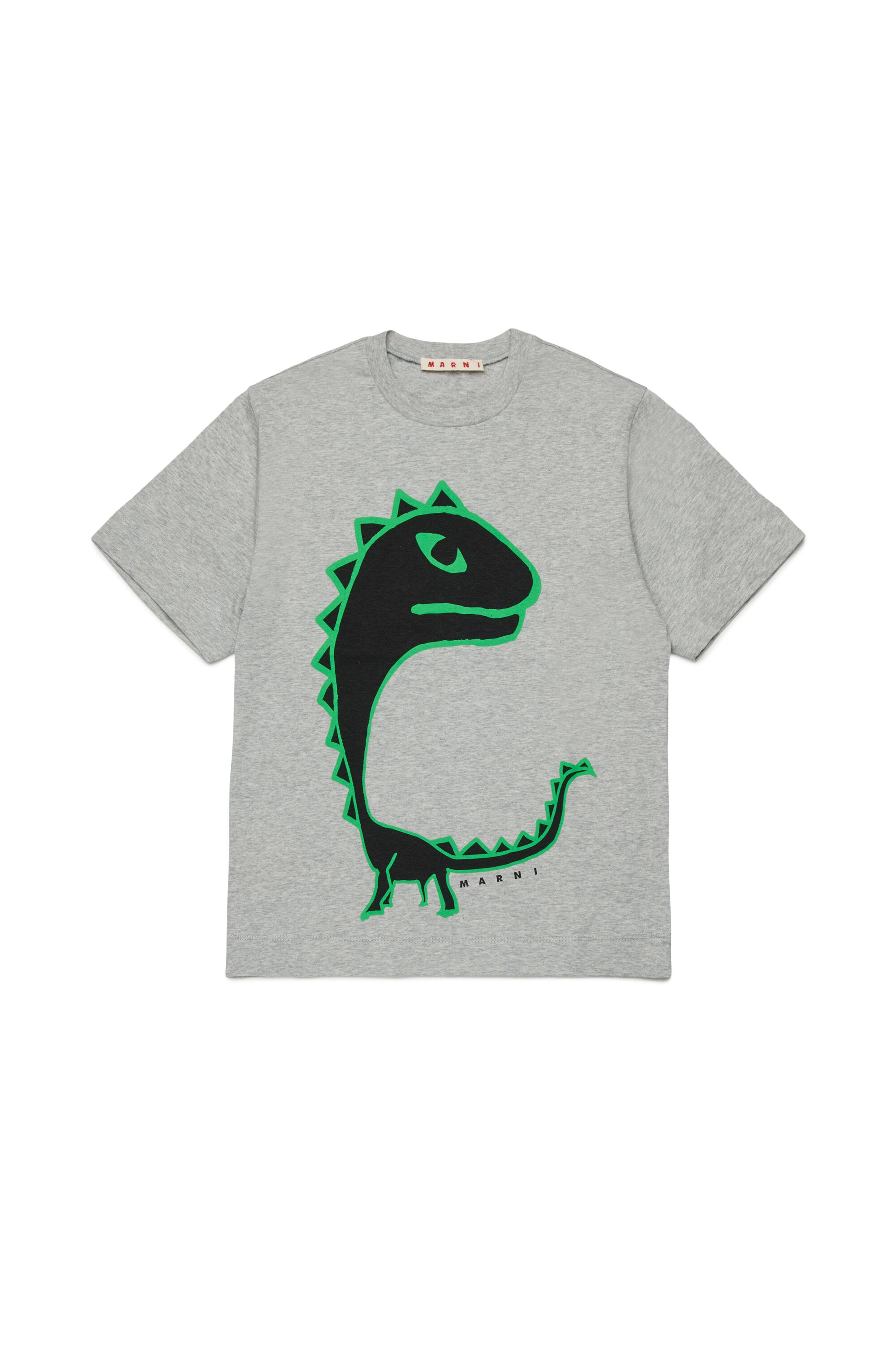 恐竜プリントTシャツ