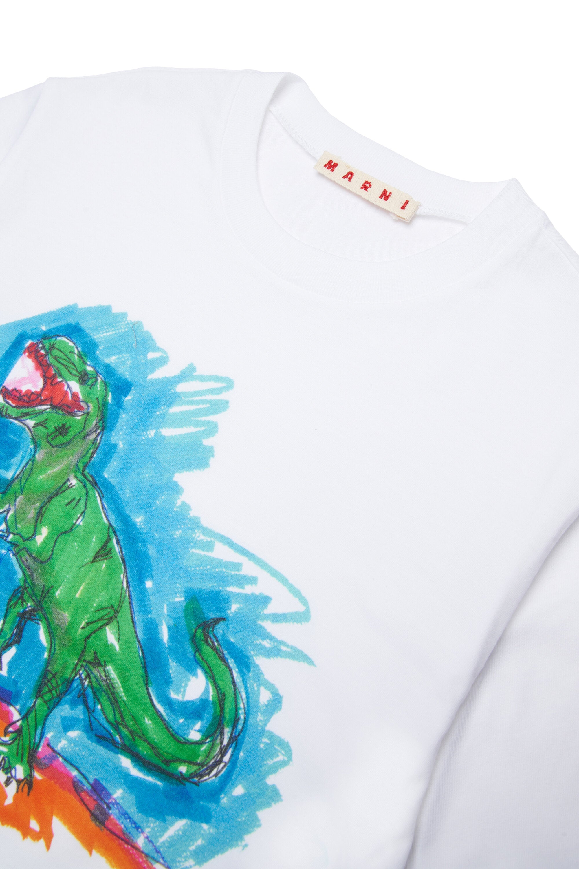 恐竜プリントとロゴ入りTシャツ