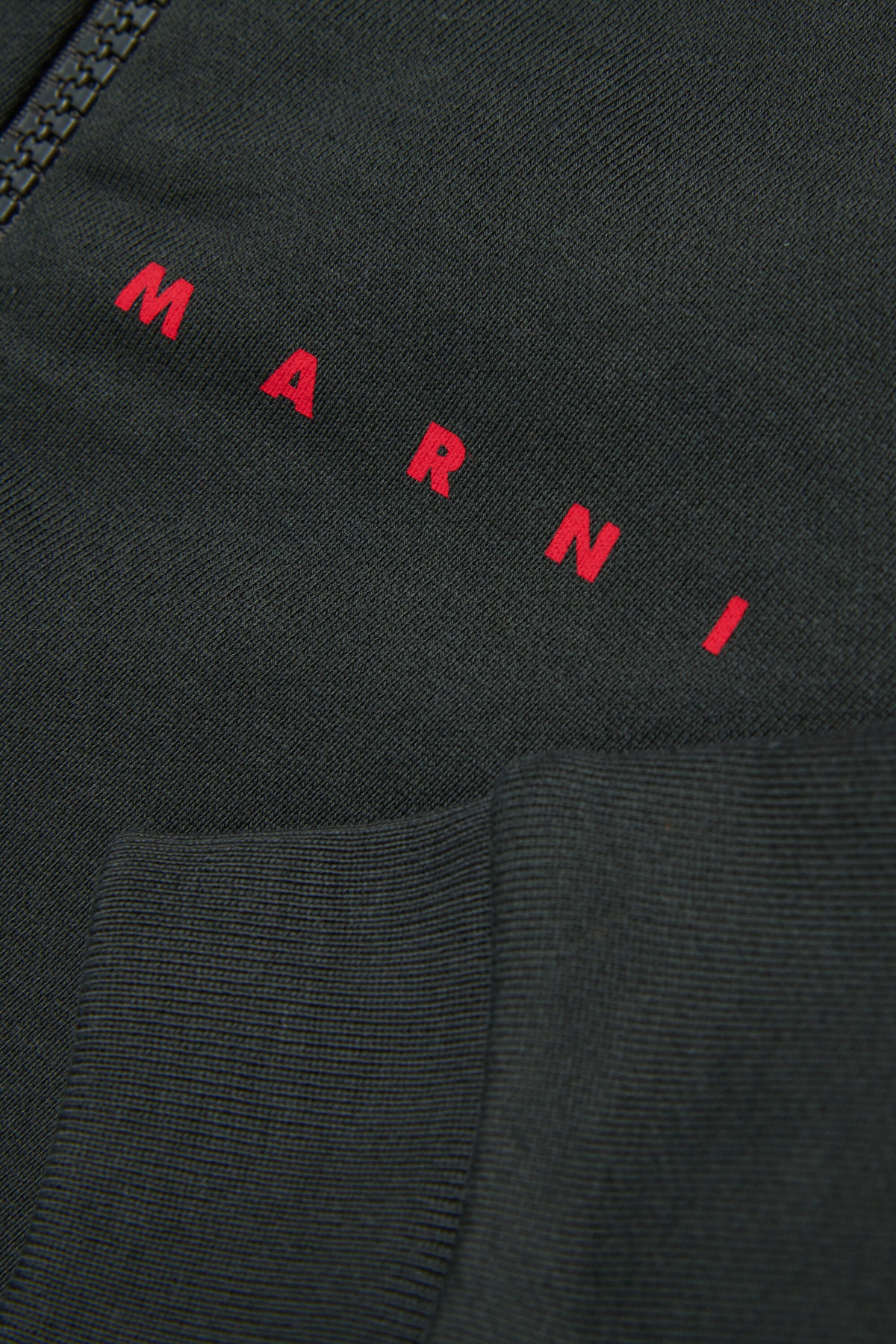 Full-zip sweatshirt with logo
