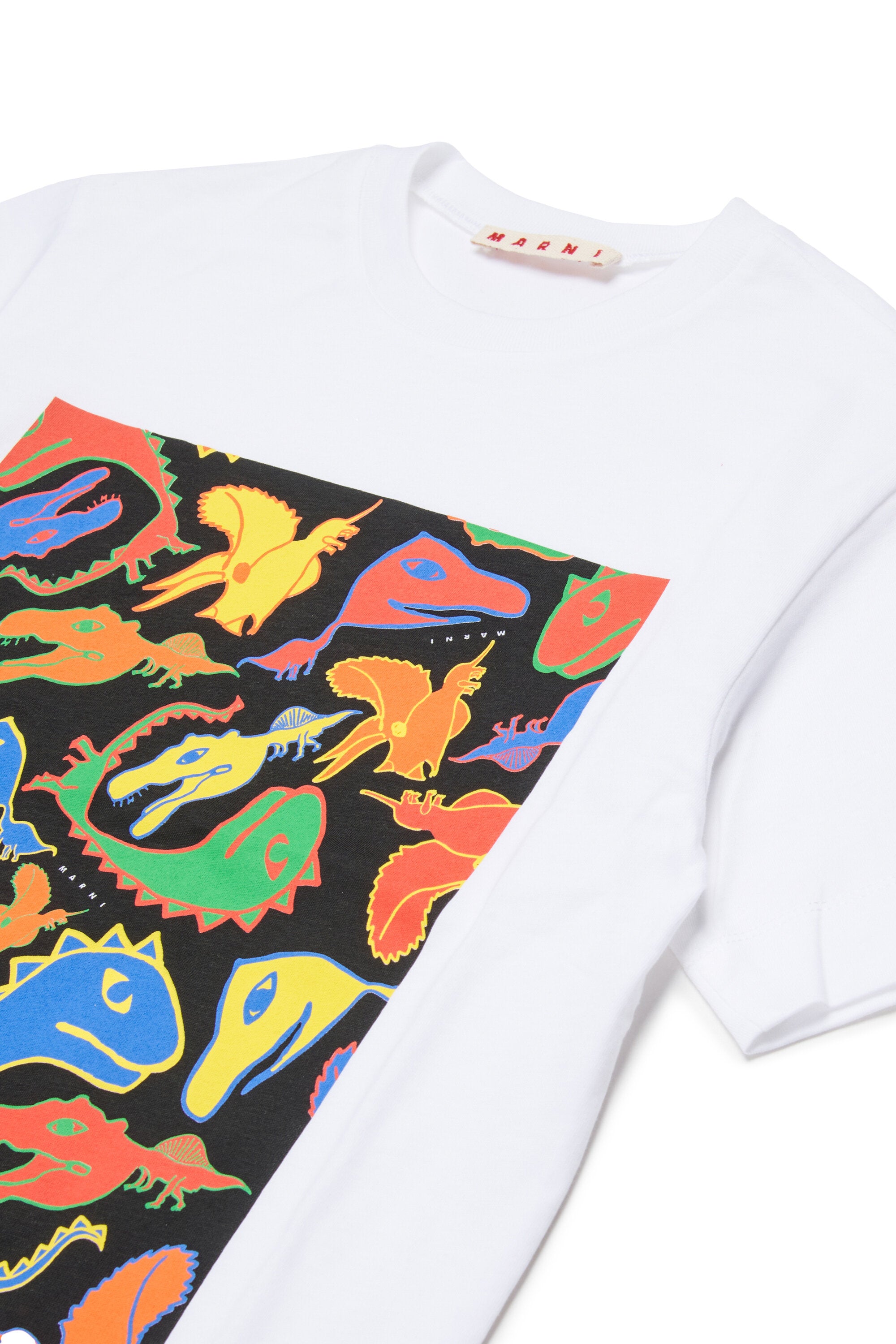 マルチカラーの恐竜プリントTシャツ