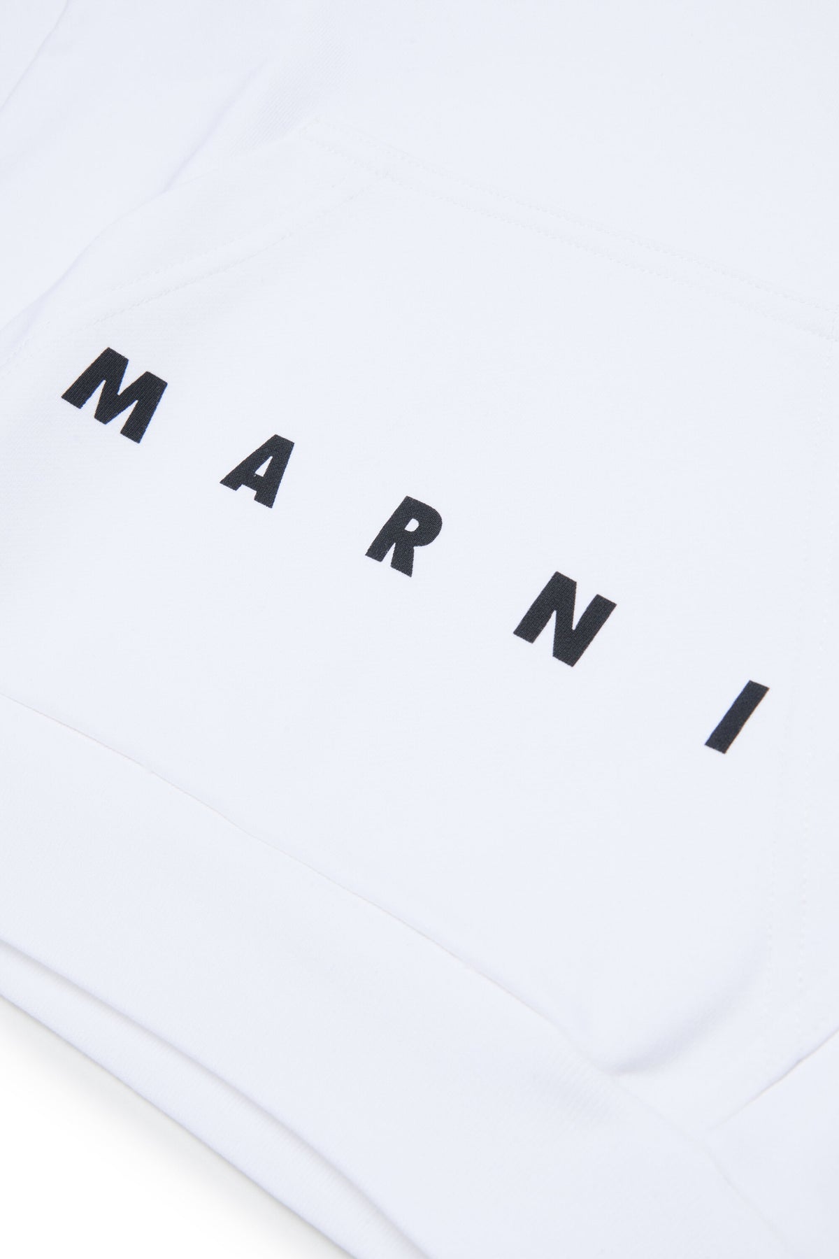 Hooded sweatshirt with logo