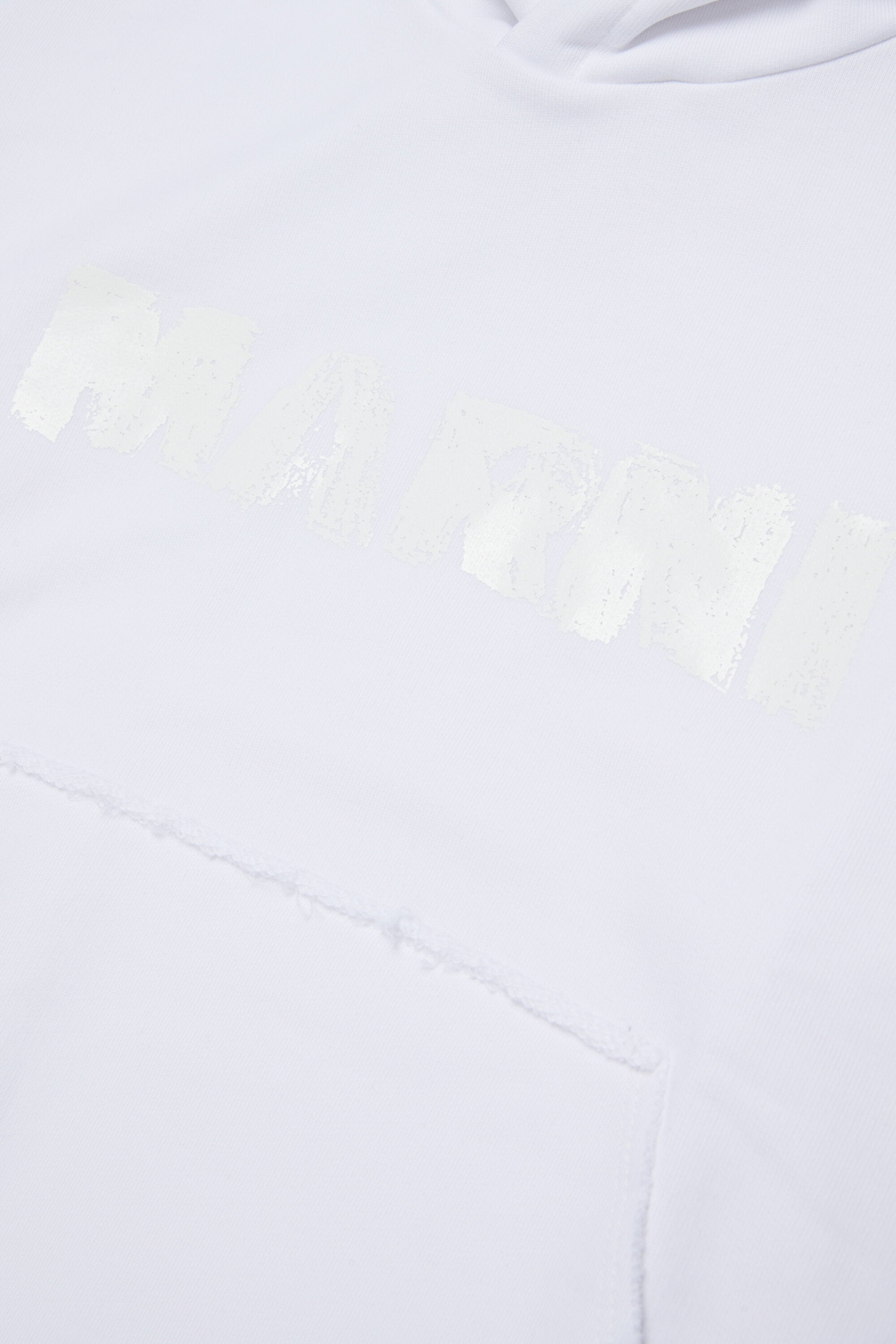 Hooded sweatshirt with logo