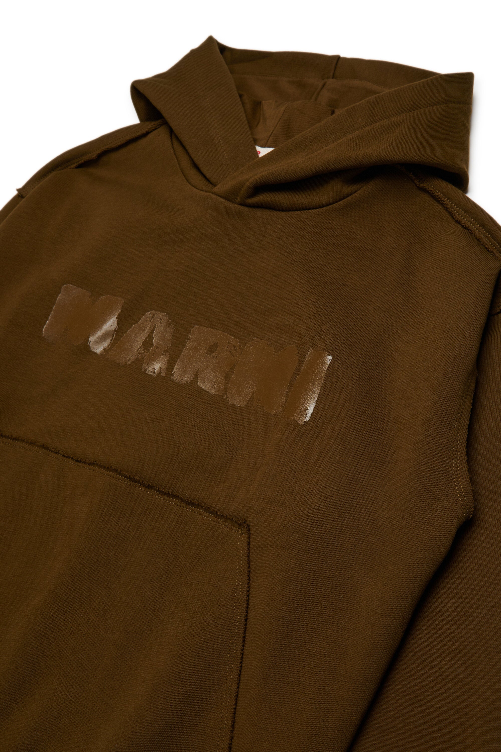 Hooded sweatshirt with logo
