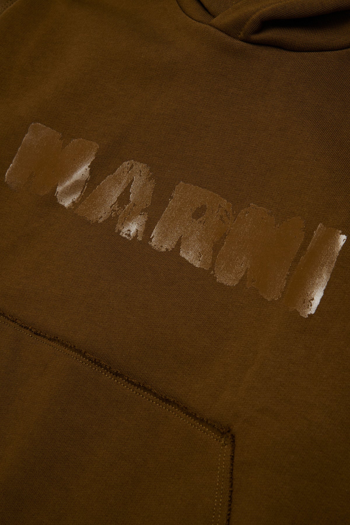 Hooded sweatshirt with logo