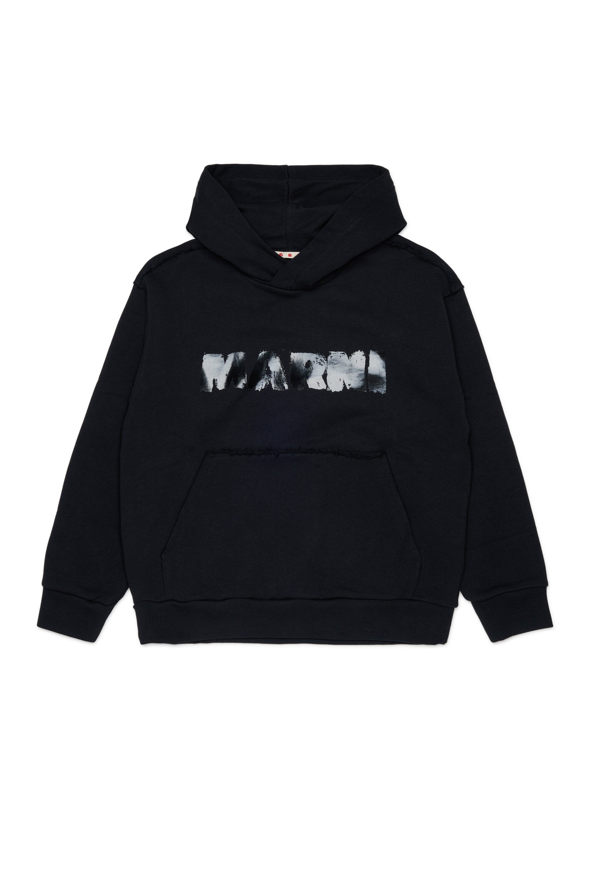 Hooded sweatshirt with logo