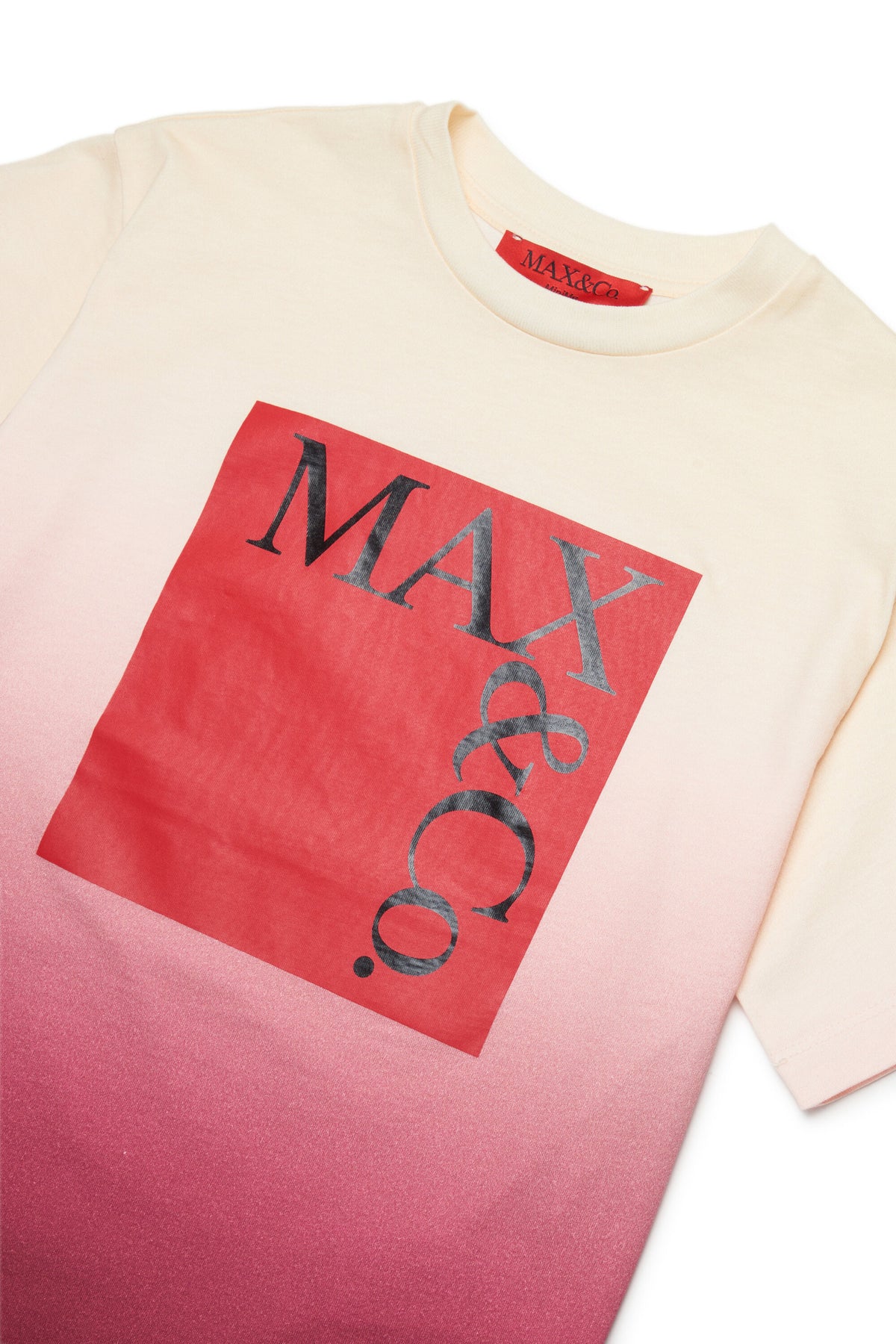 フロントロゴ入りTシャツ