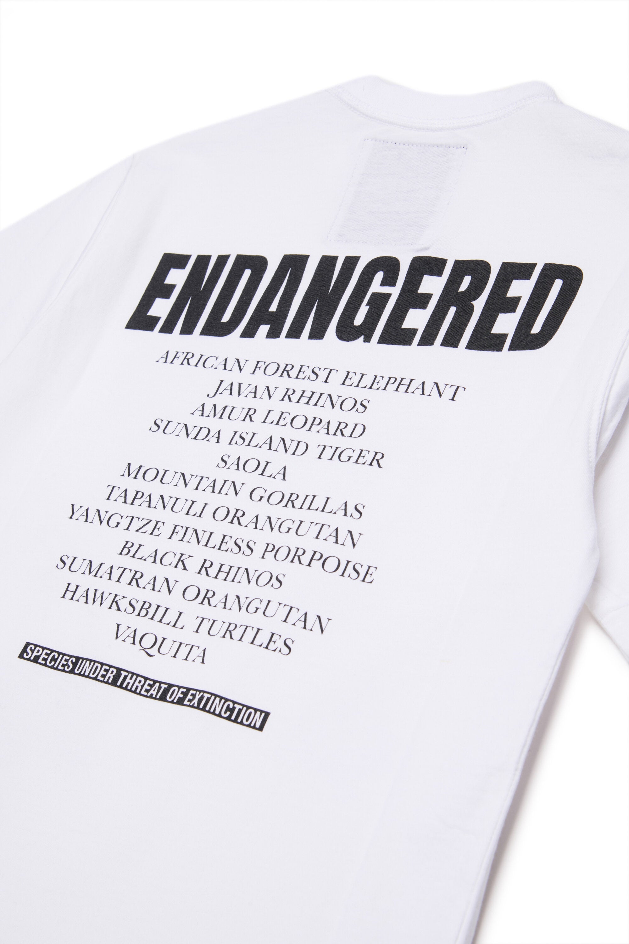 絶滅危惧動物グラフィックプリント半袖Tシャツ