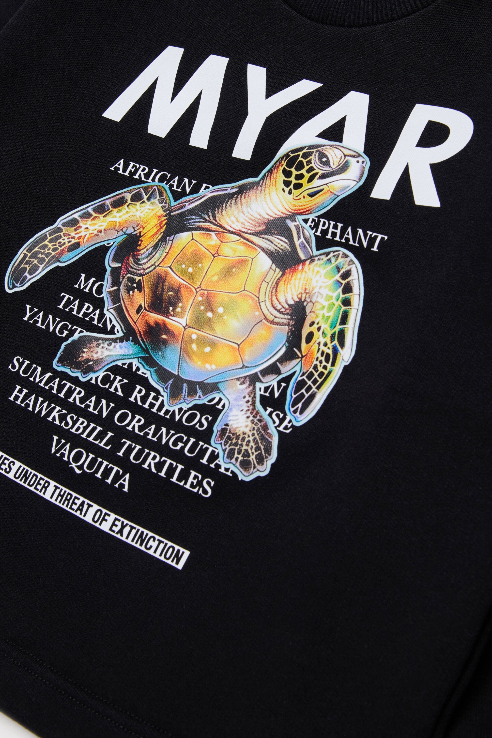 グラフィックプリント入りクルーネックスウェット