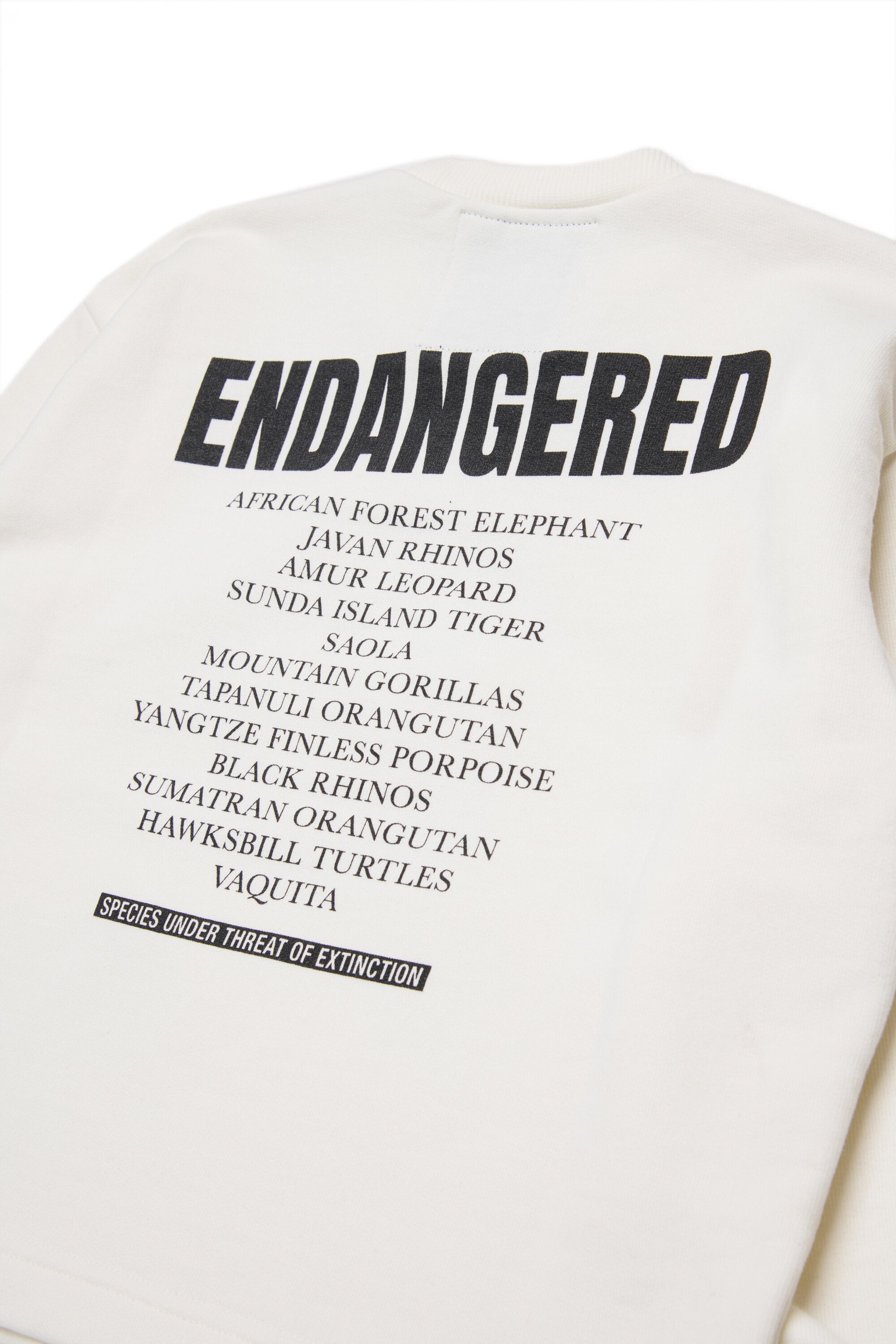 グラフィックプリント入りクルーネックスウェット