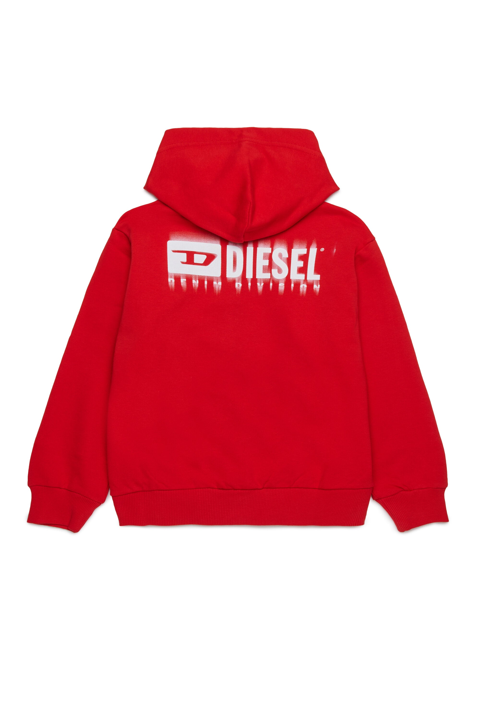 Hooded sweatshirt with degradé logo