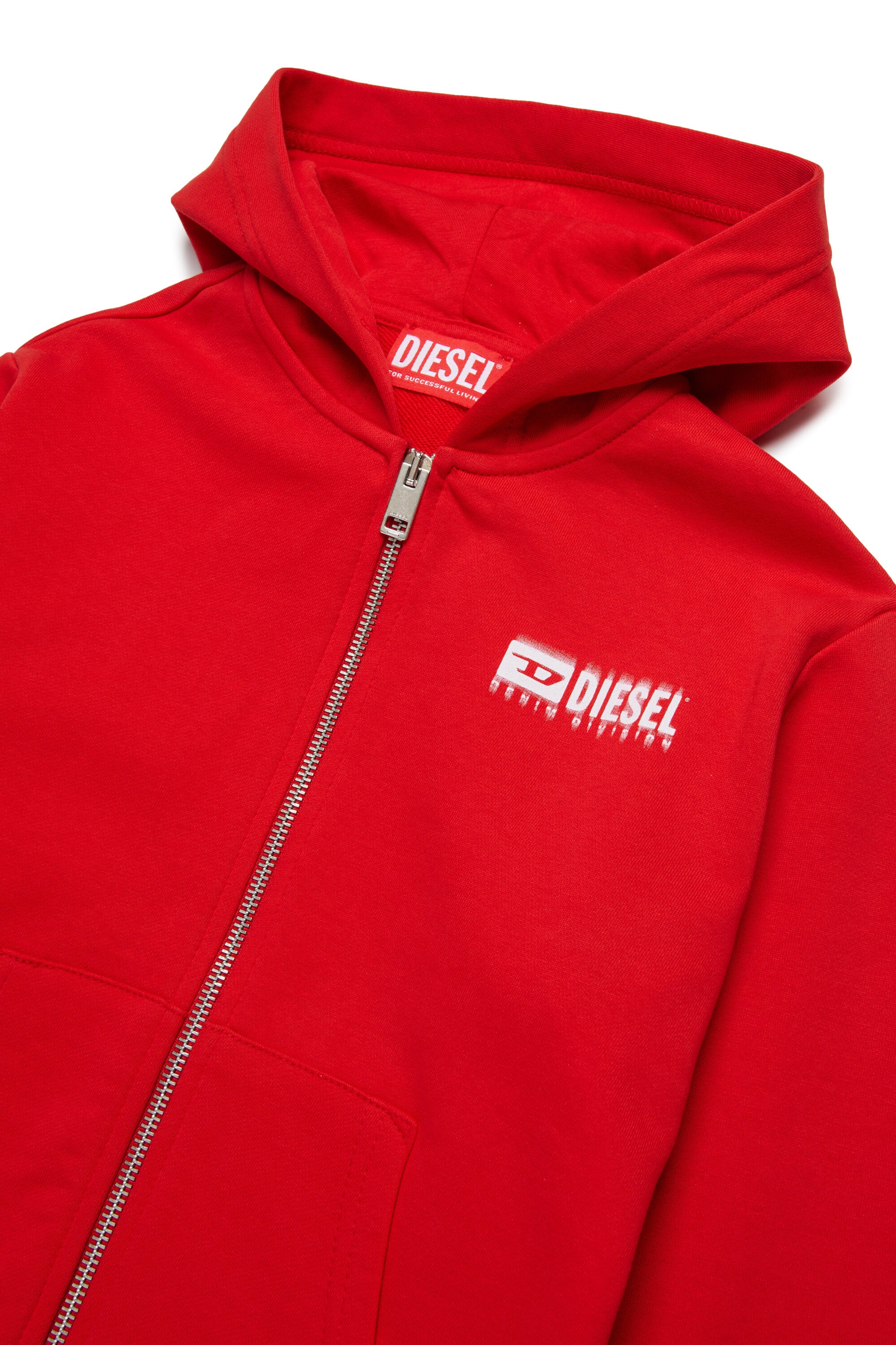 Hooded sweatshirt with degradé logo