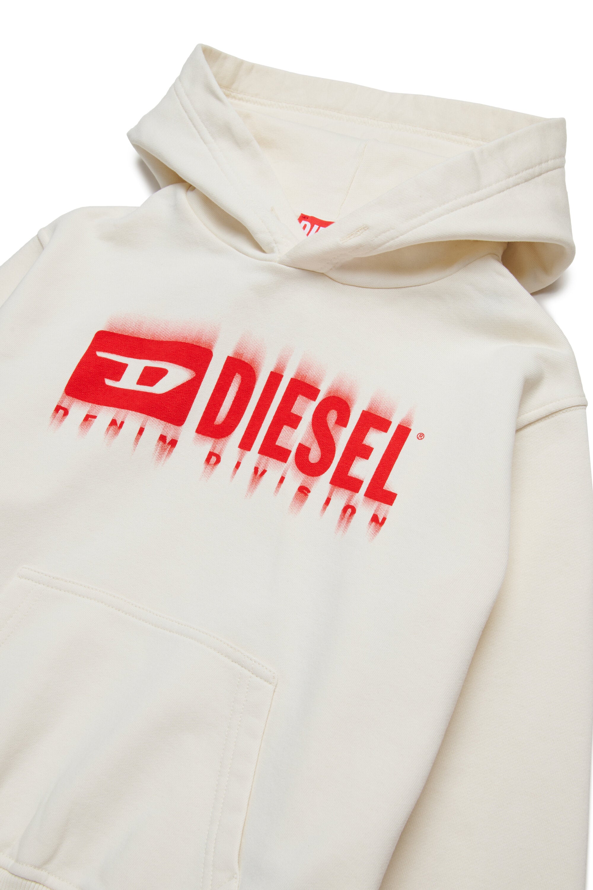 Hooded sweatshirt with degradé logo