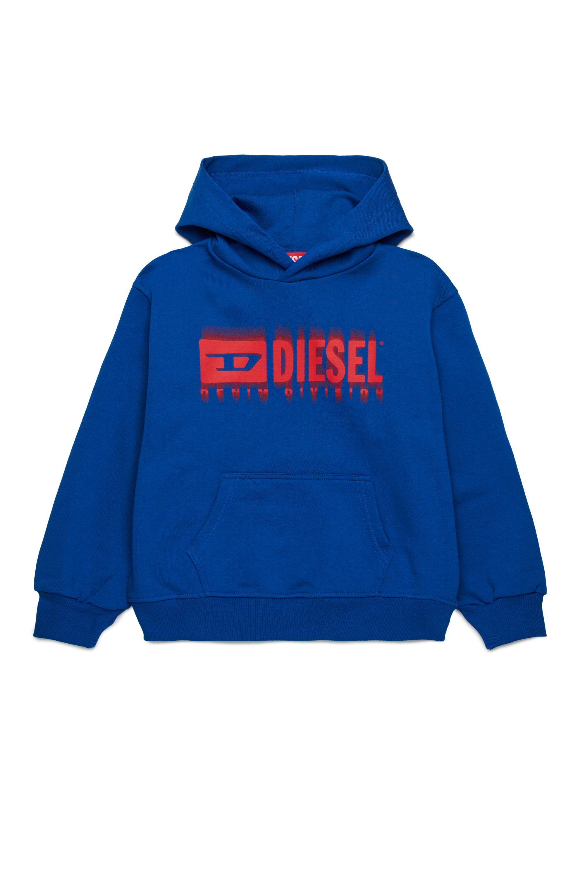 Hooded sweatshirt with degradé logo