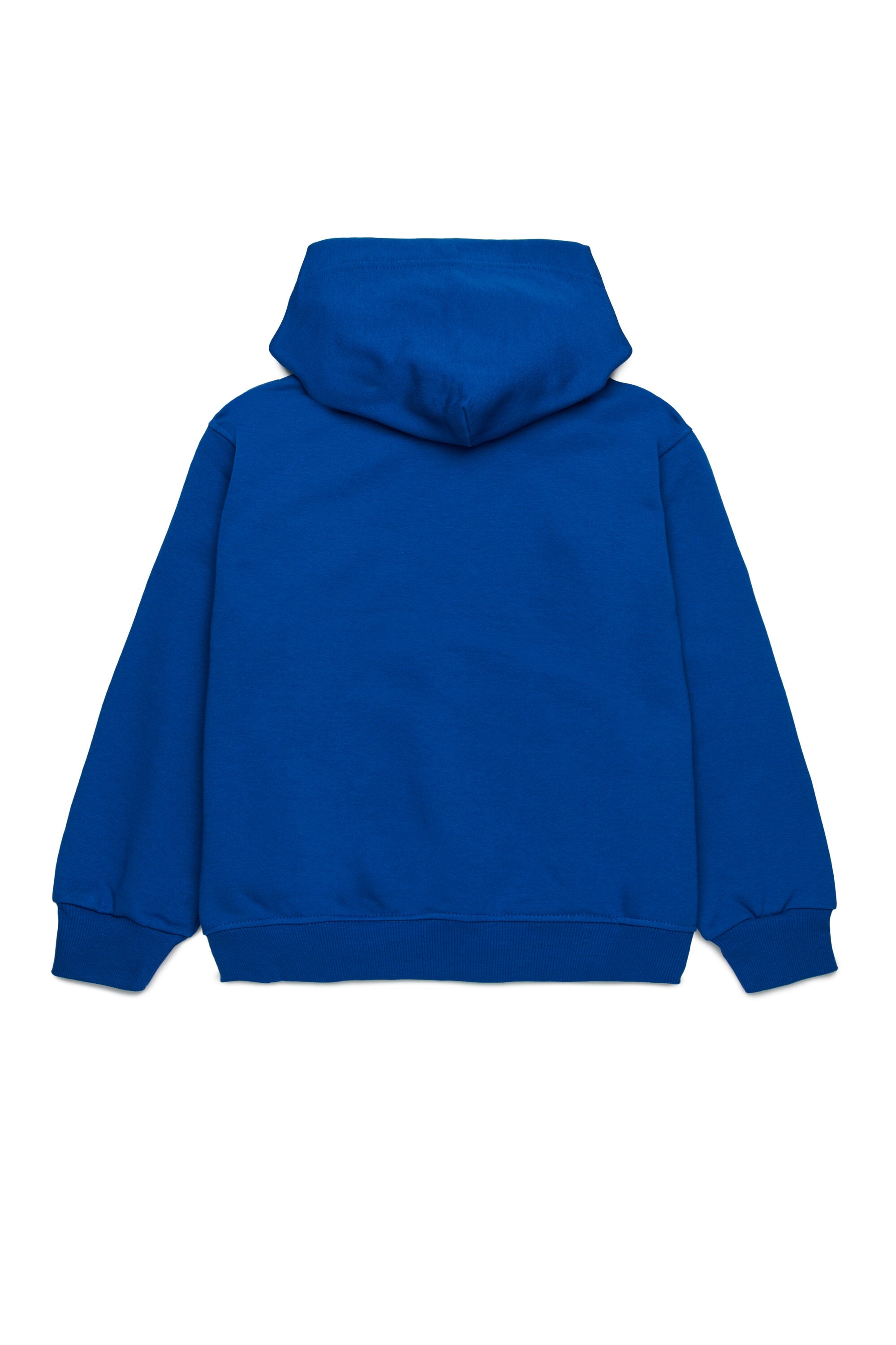 Hooded sweatshirt with degradé logo