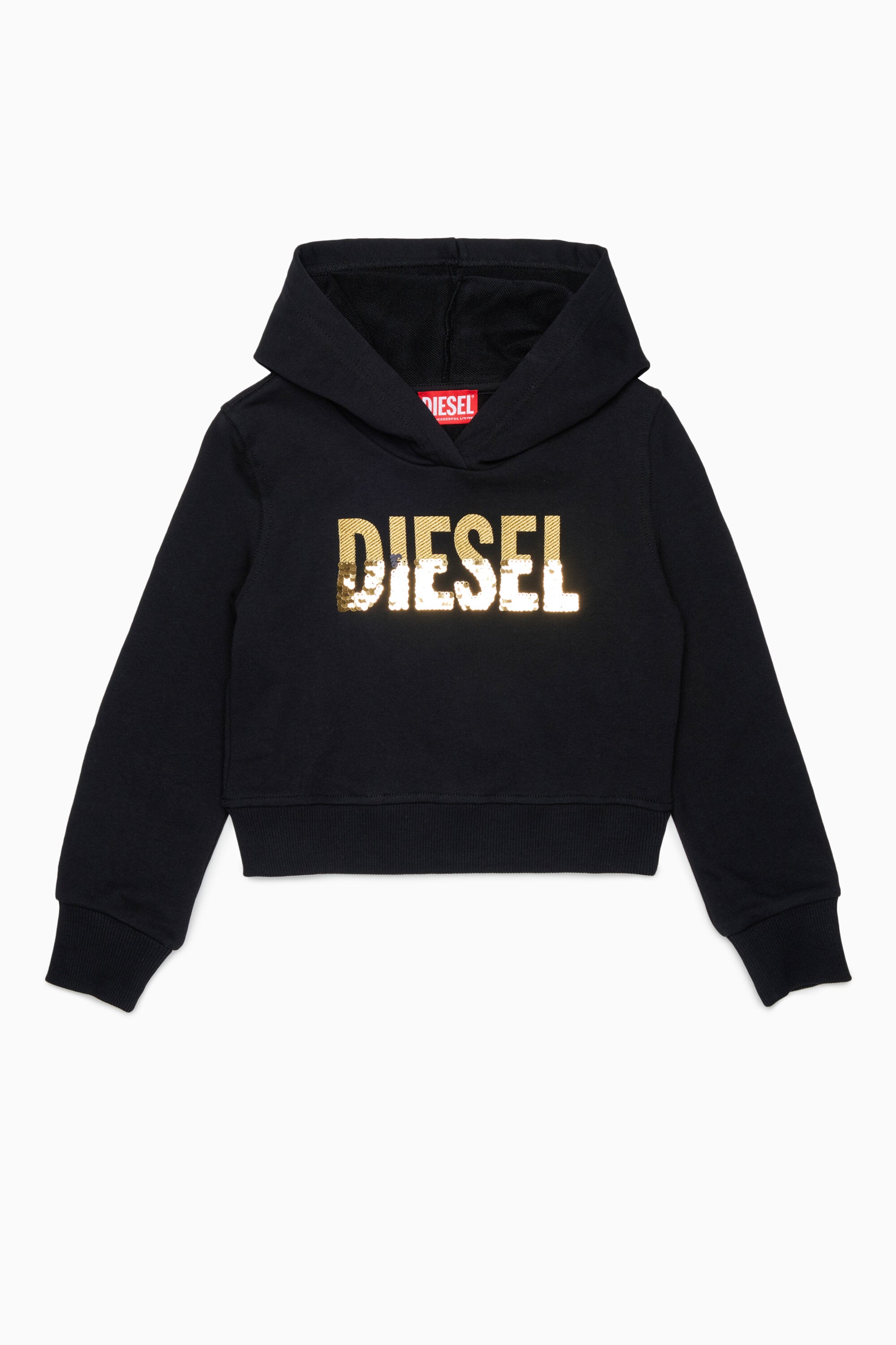 Hooded sweatshirt with logo