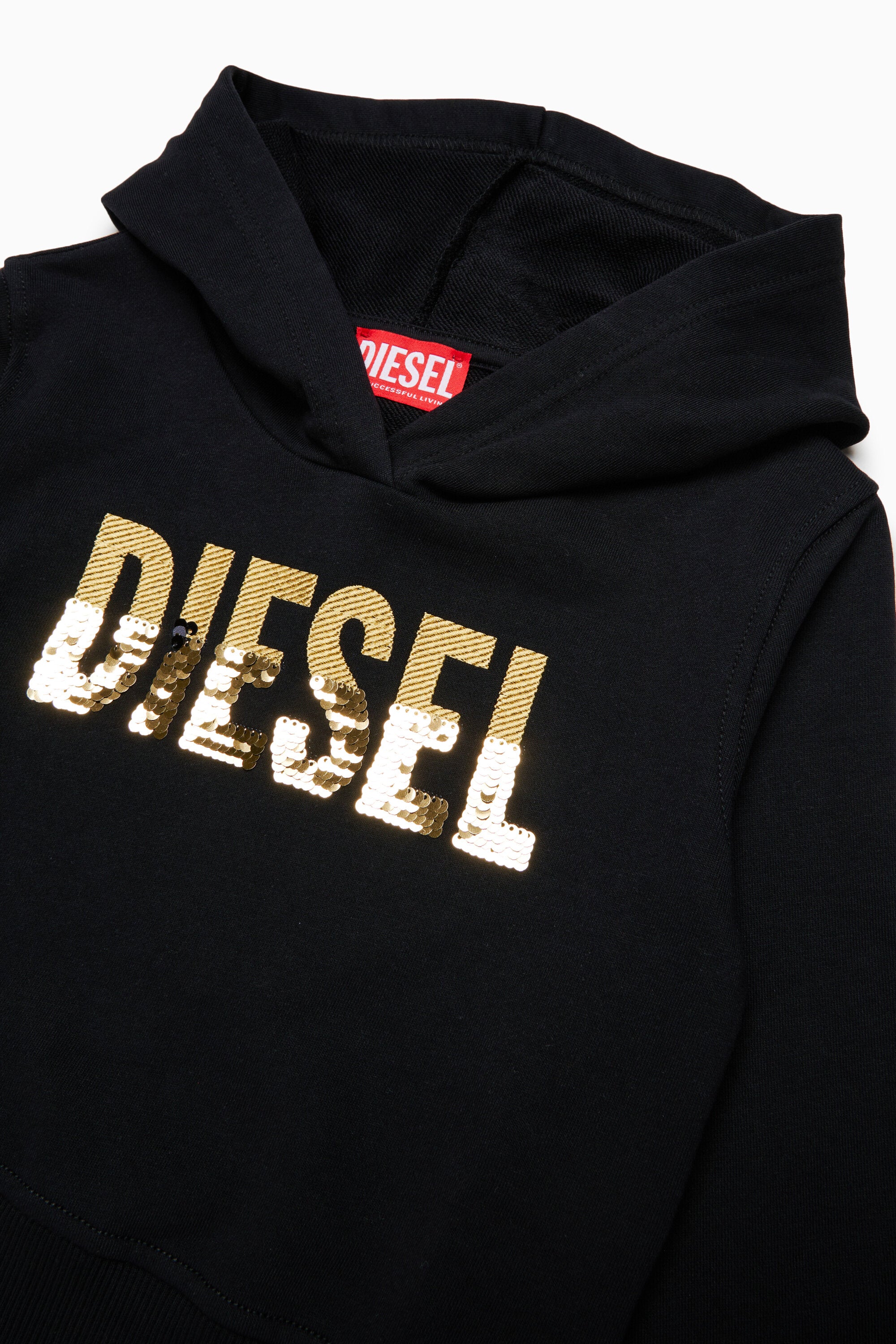 Hooded sweatshirt with logo