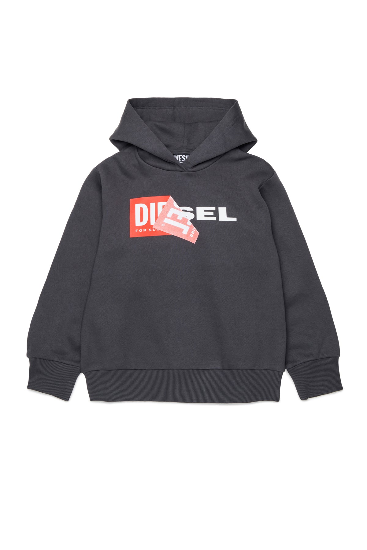 Hooded sweatshirt with logo