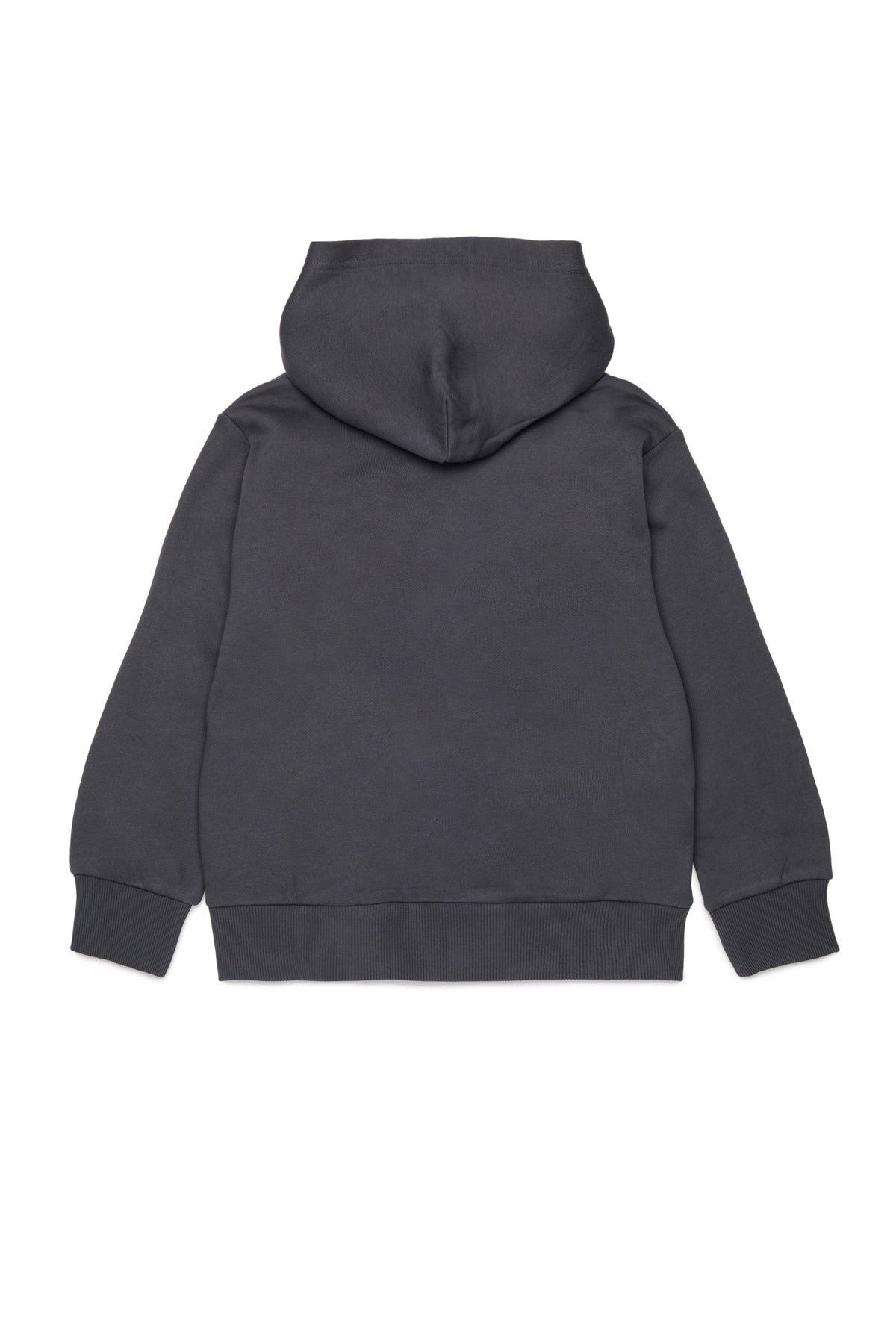 Hooded sweatshirt with logo