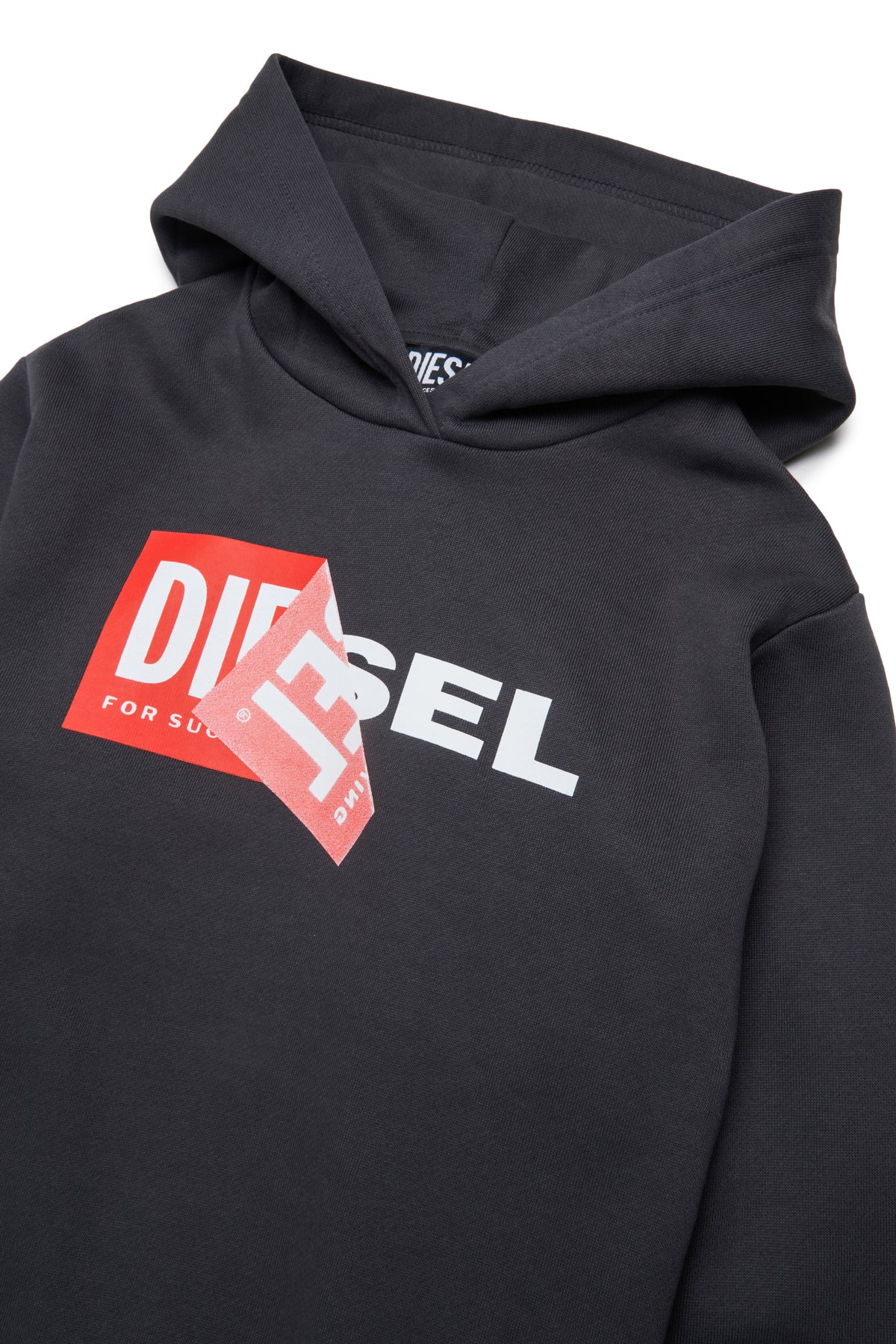 Hooded sweatshirt with logo