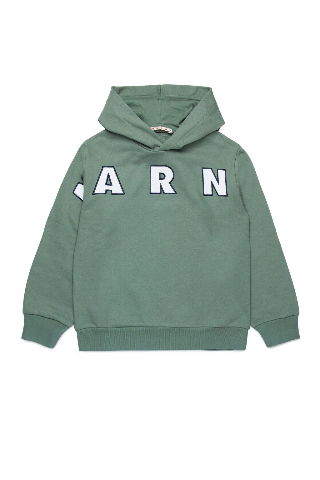 Hooded sweatshirt with embroidered logo