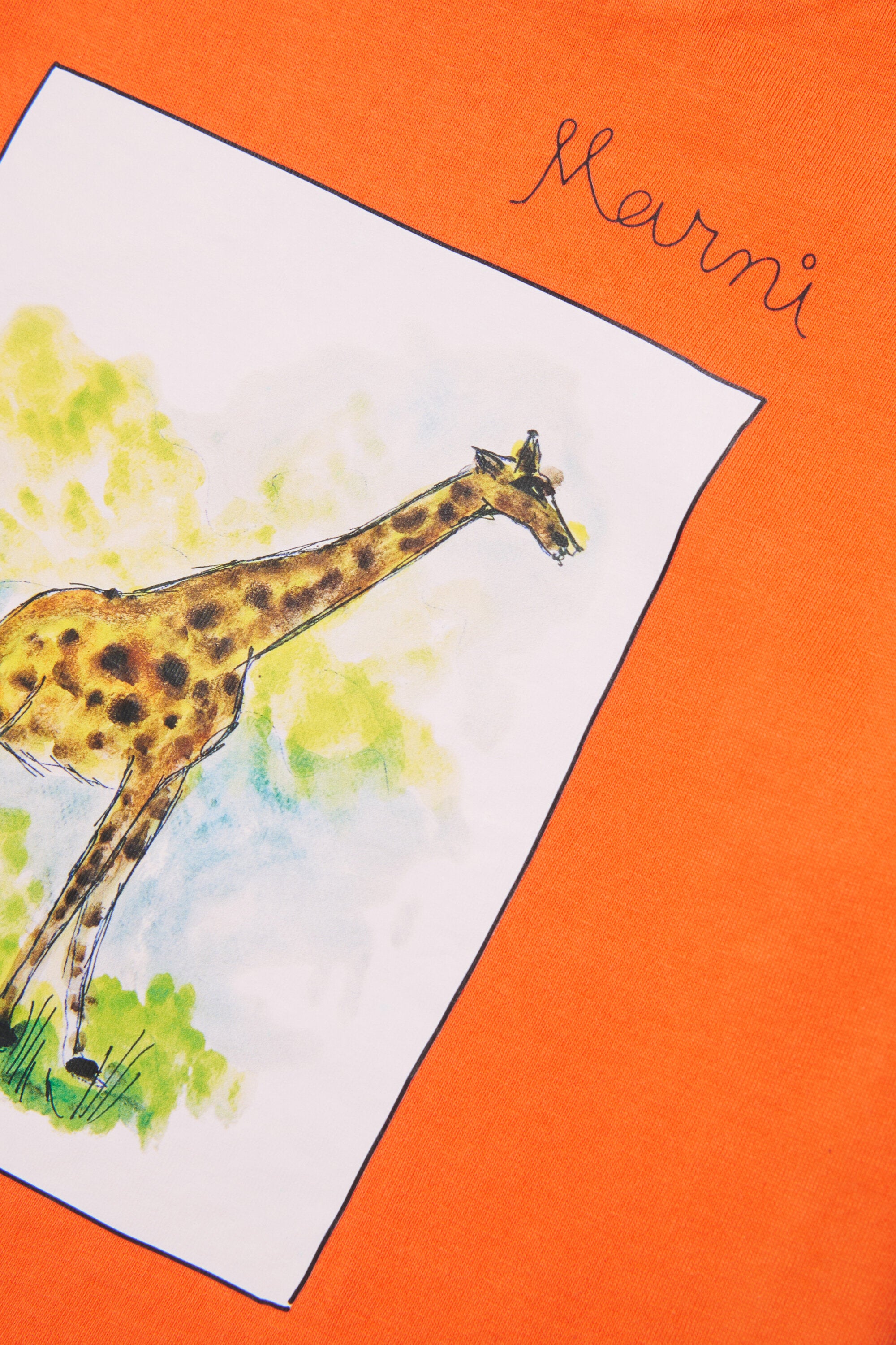 T-shirt with giraffe print and logo