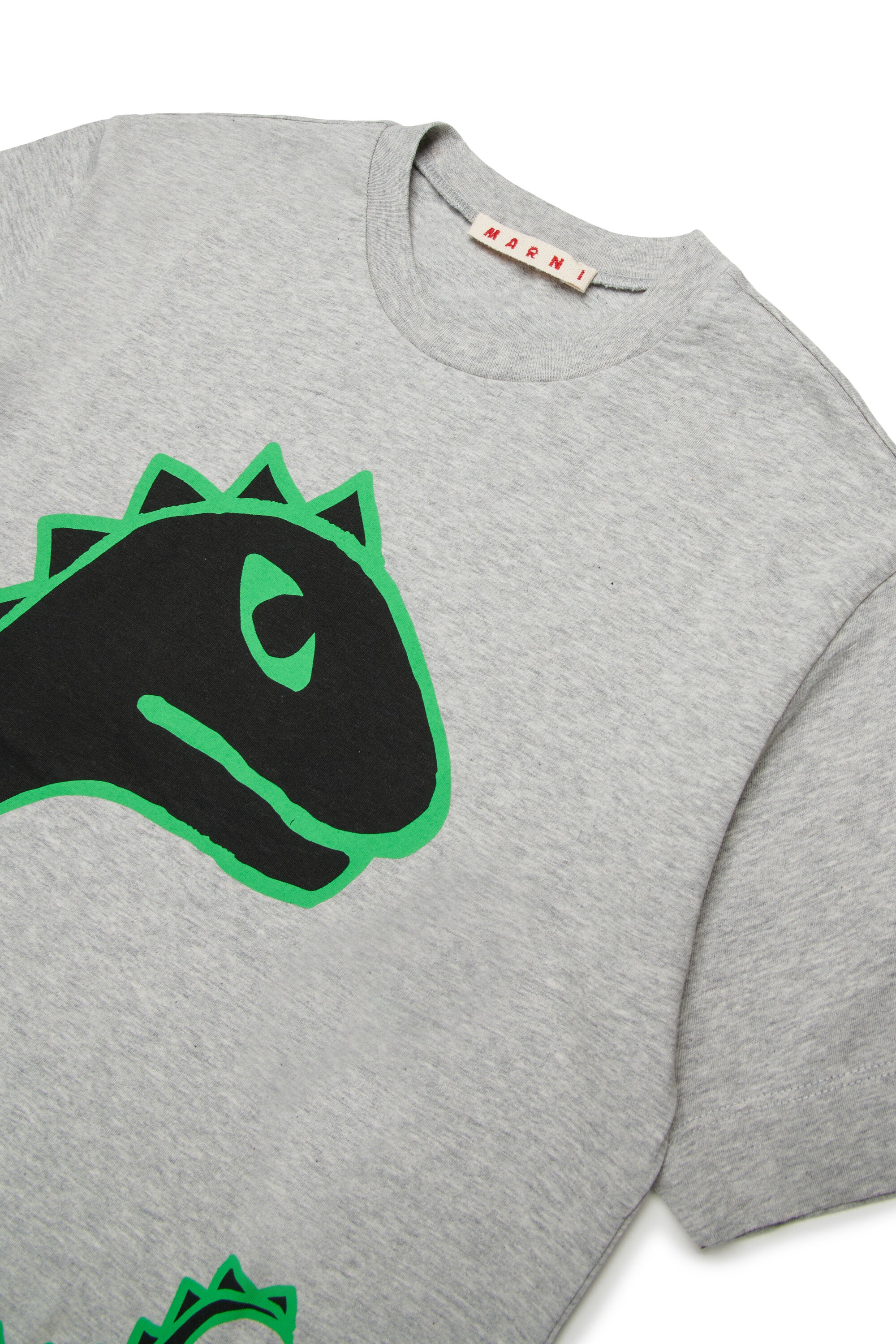 恐竜プリントTシャツ