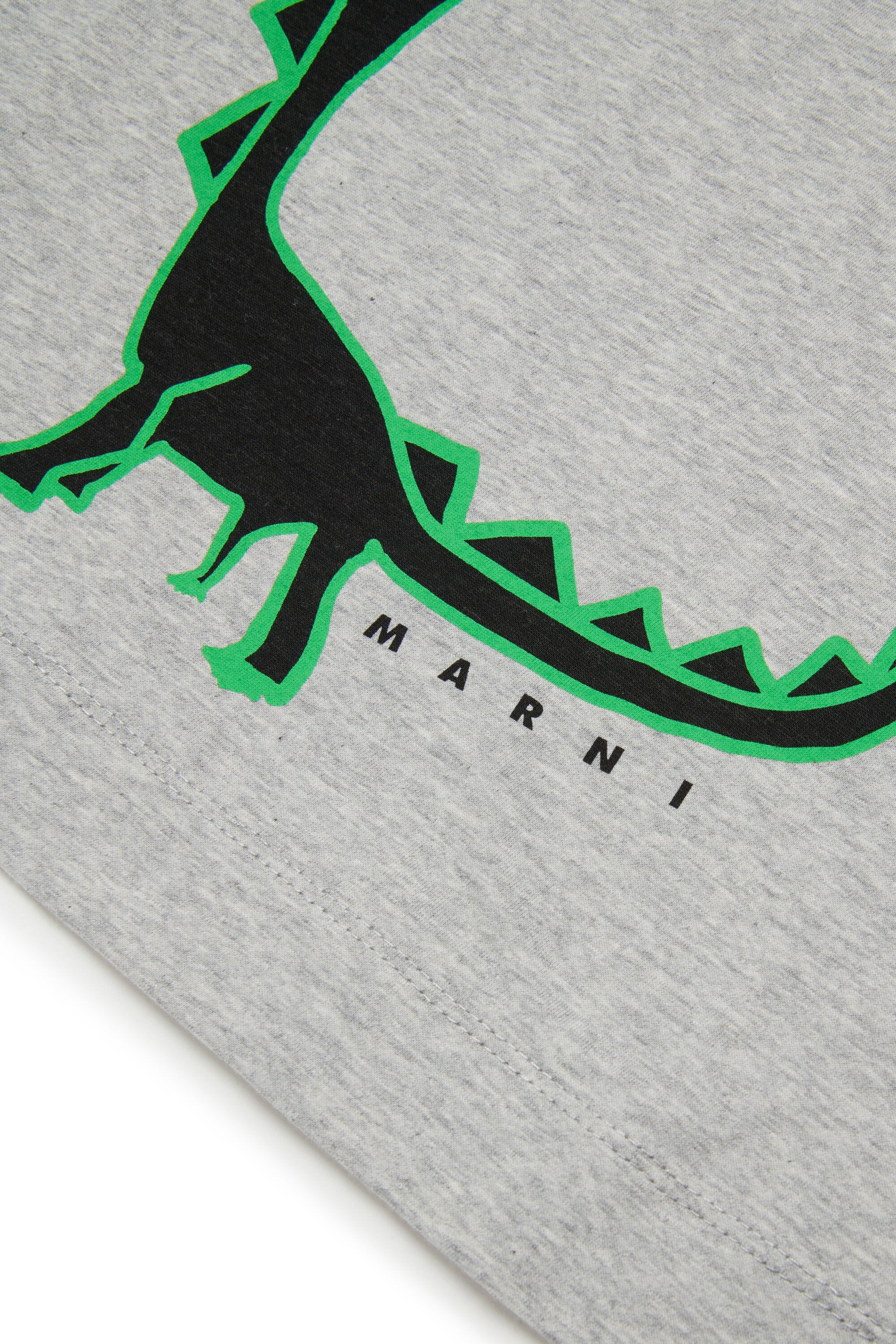 恐竜プリントTシャツ