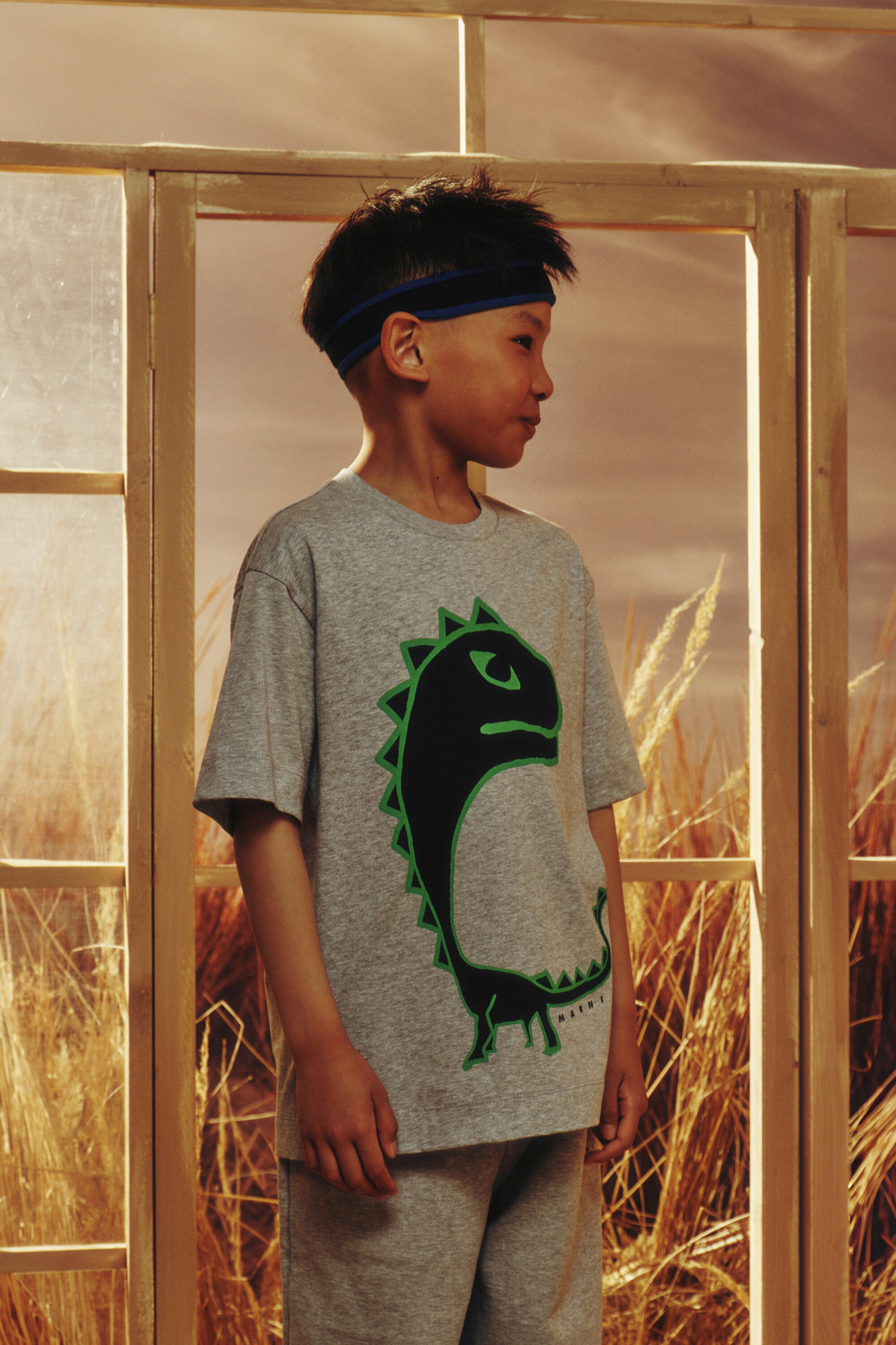 恐竜プリントTシャツ