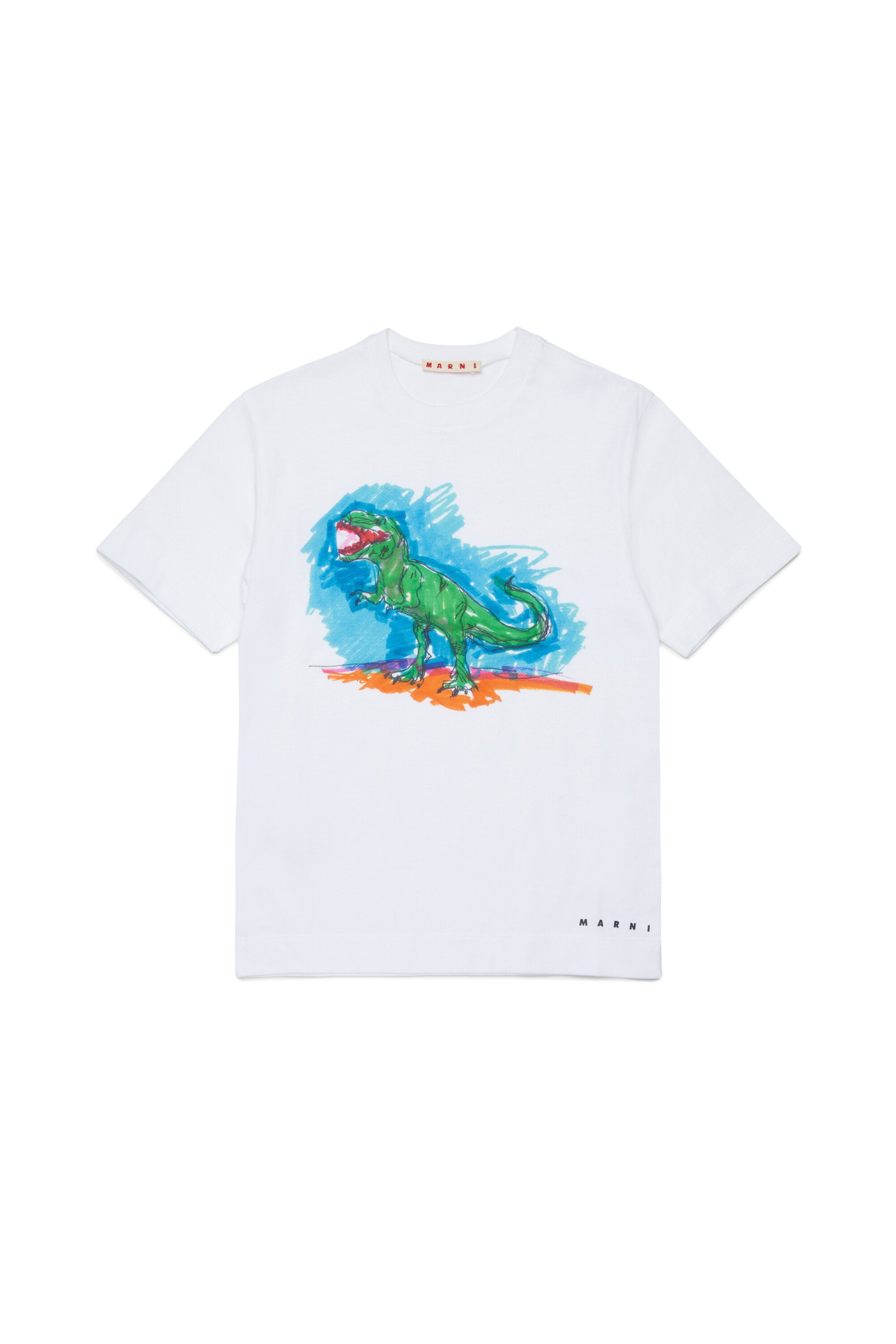 恐竜プリントとロゴ入りTシャツ