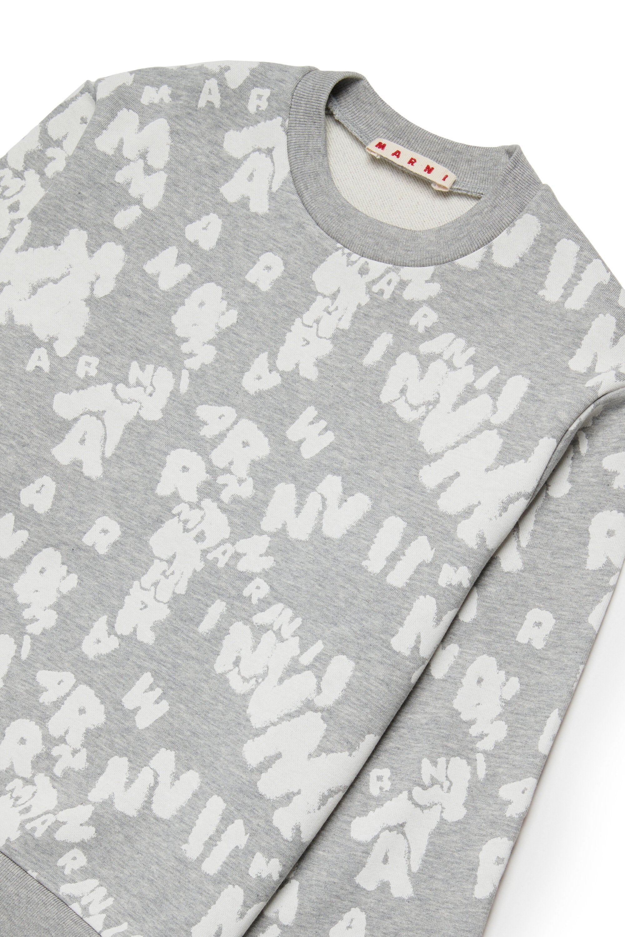 オールオーバーロゴ入りクルーネックスウェット