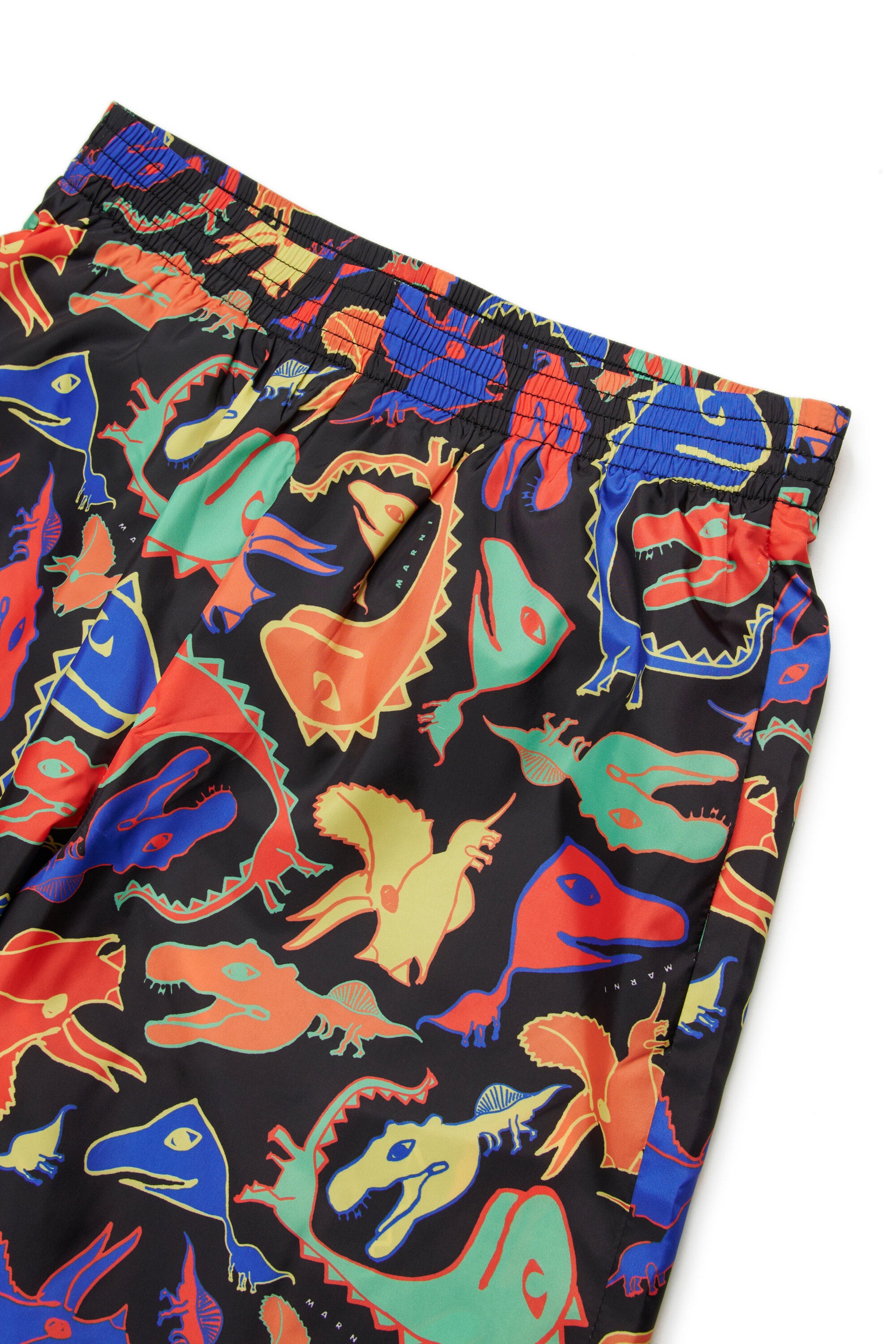 Boxer swimsuit with multicolored dinosaur print