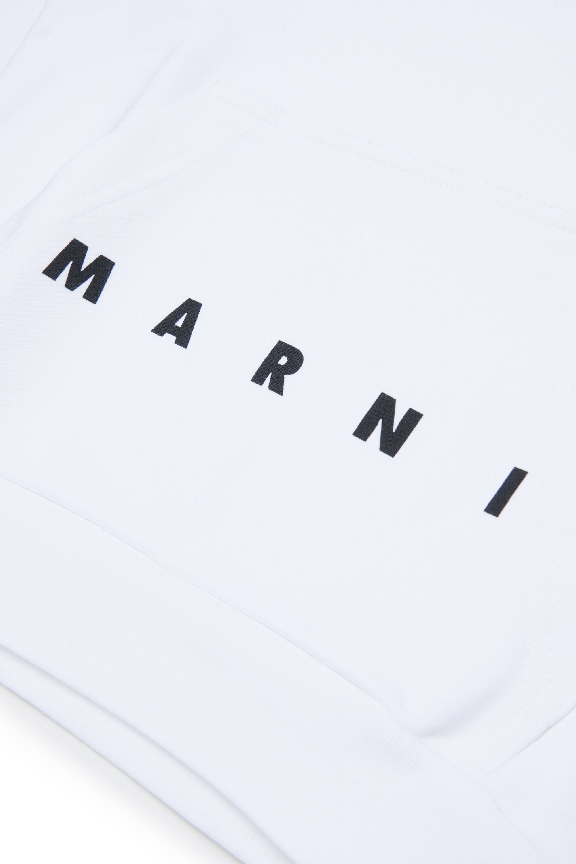 Hooded sweatshirt with logo