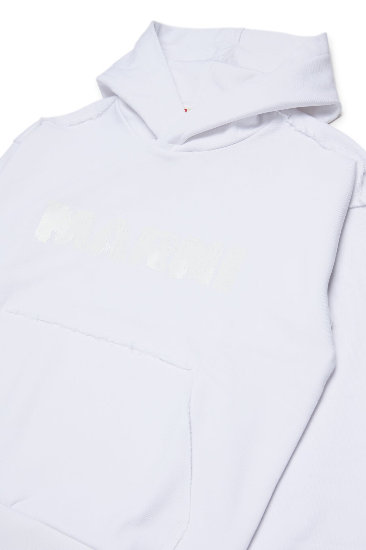 Hooded sweatshirt with logo