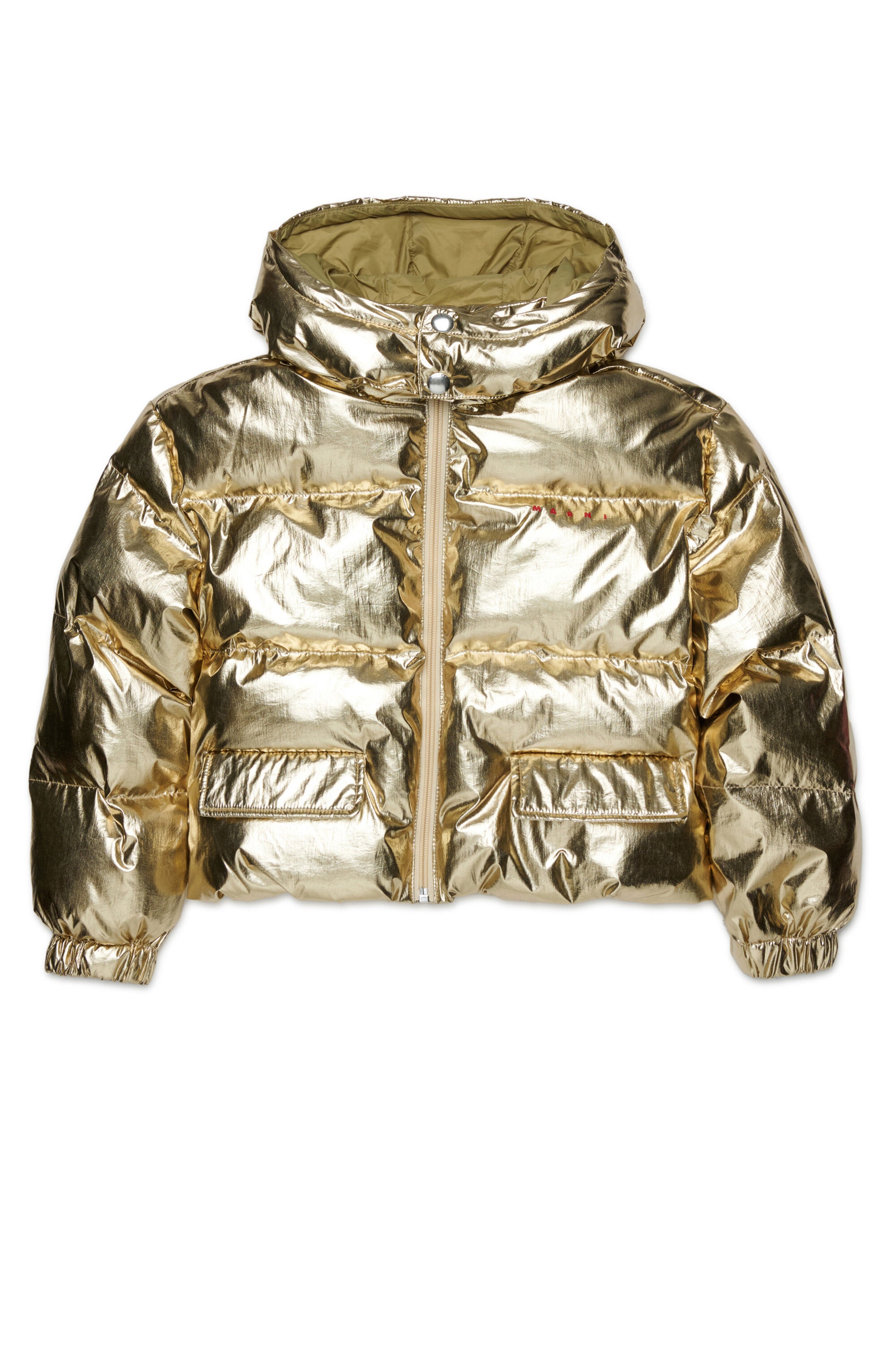Padded jacket with printed logo
