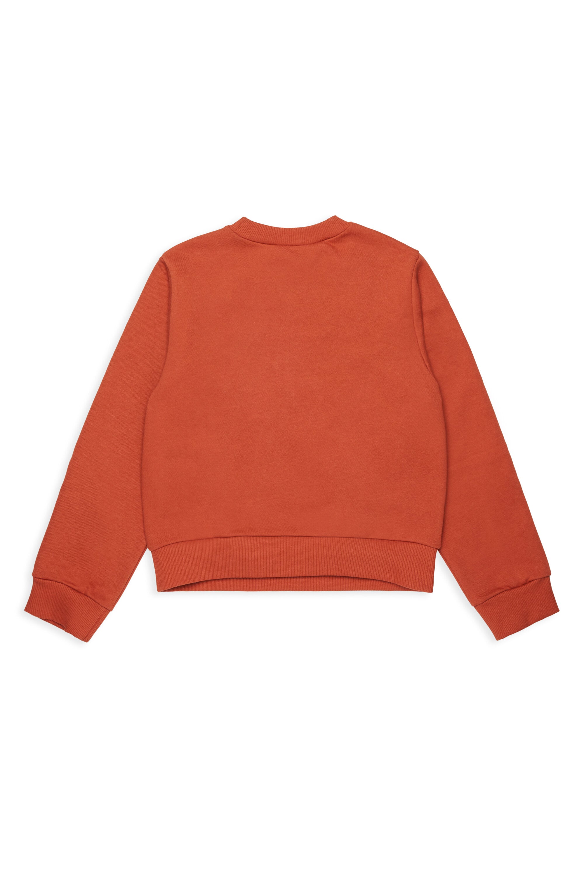 Branded crew-neck sweatshirt